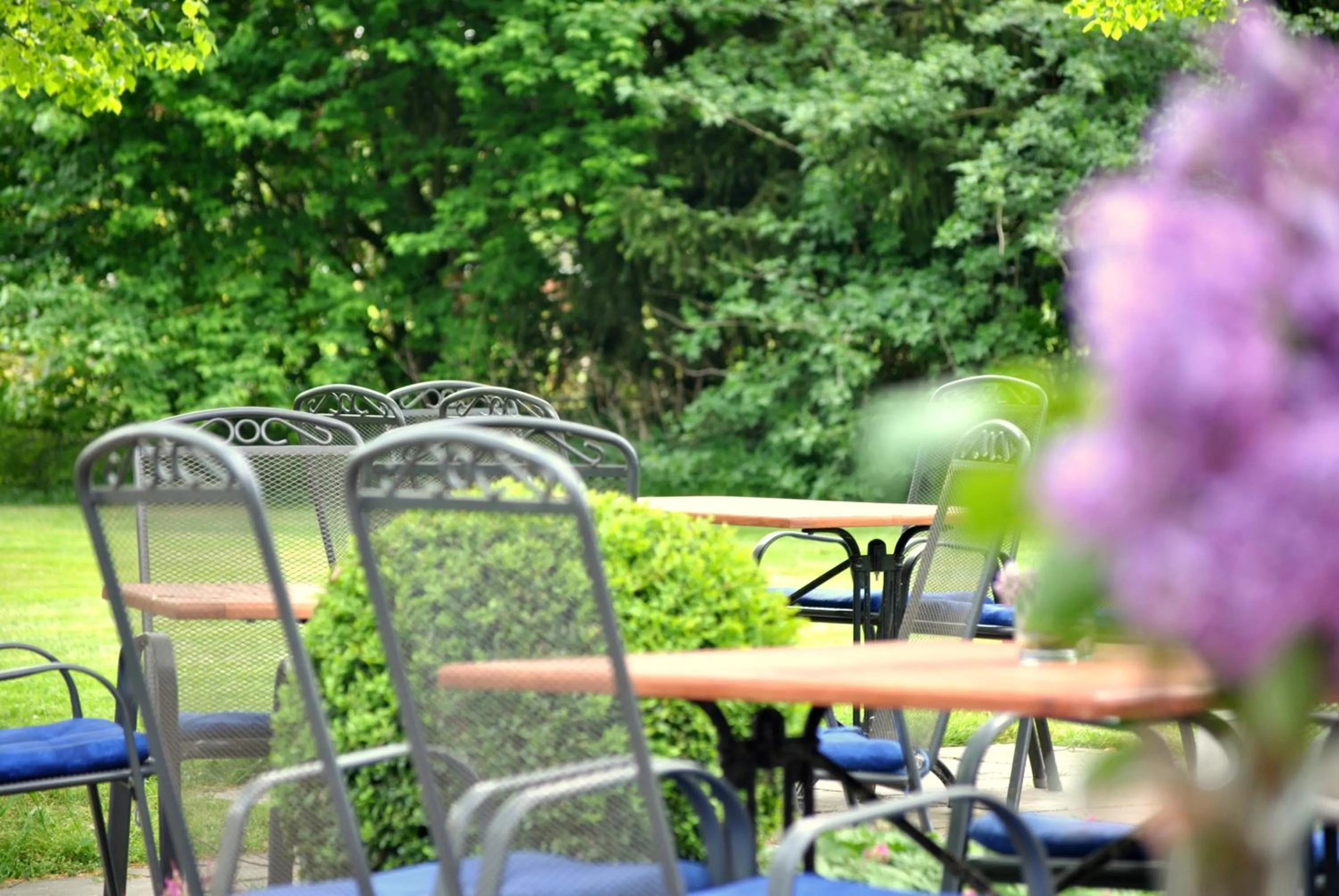 Patio in Hotel Saltenhof