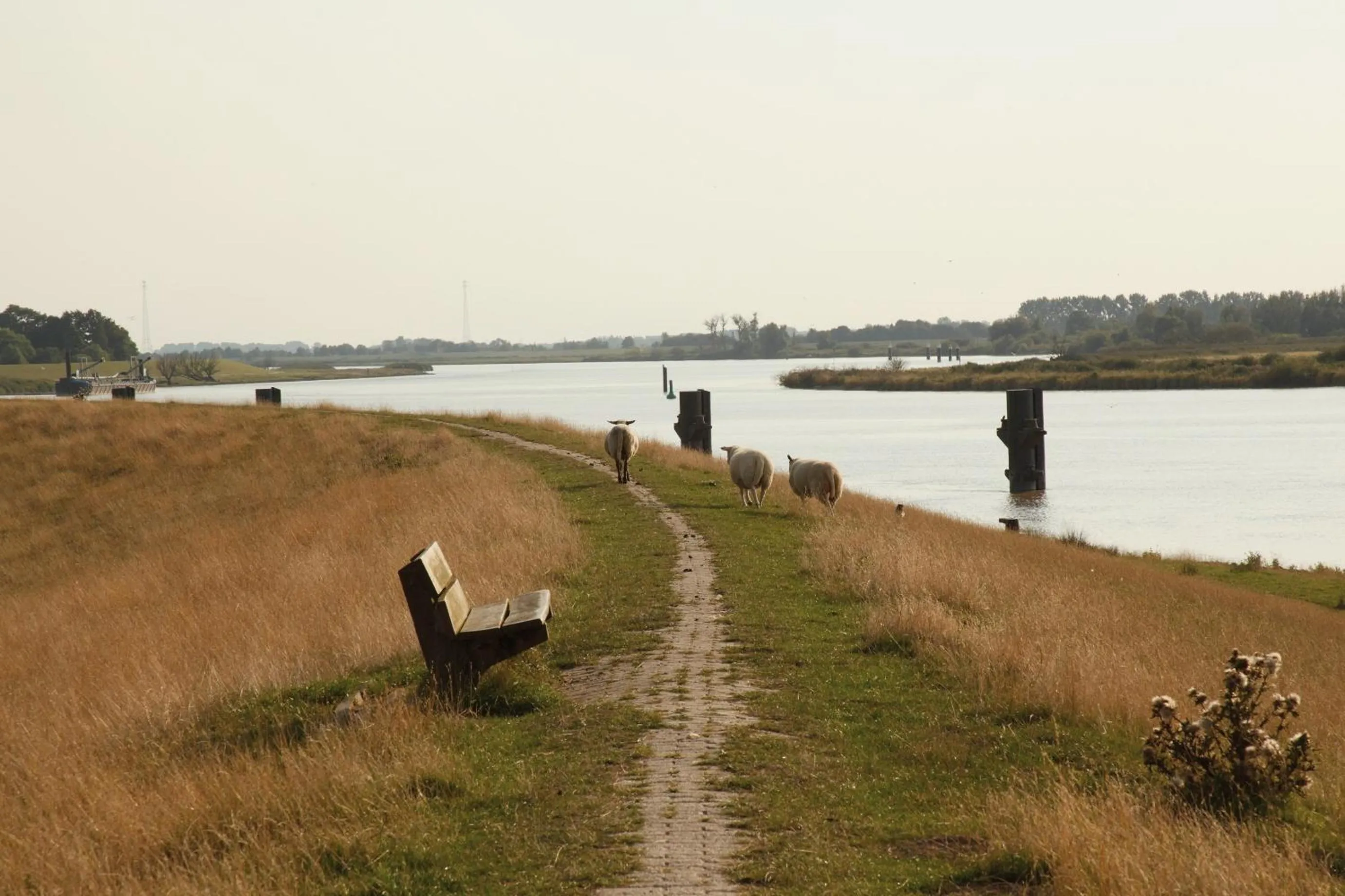 Day in Hotel Ostfriesen Hof