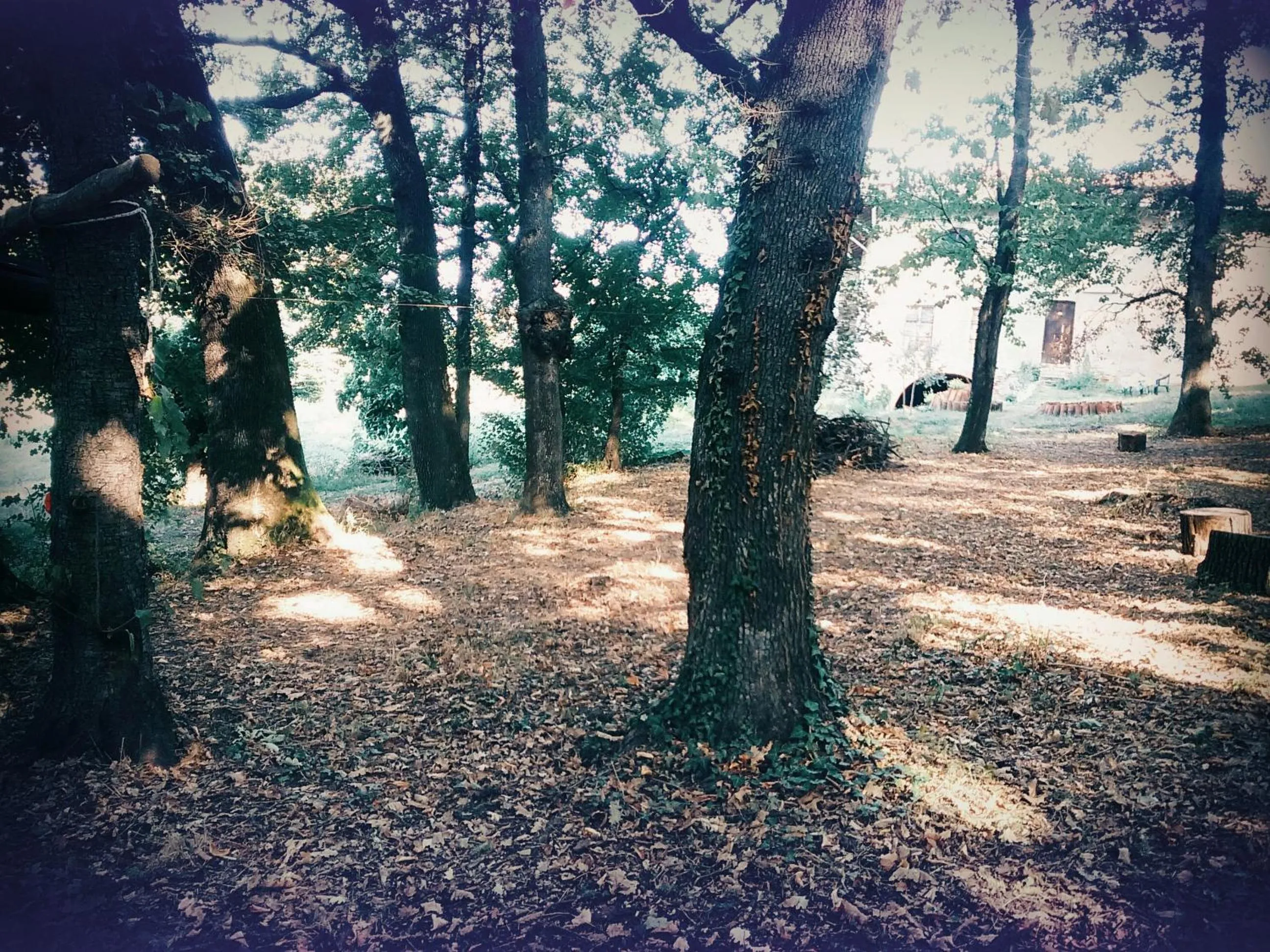 Garden in Cascina Bucolica B&B