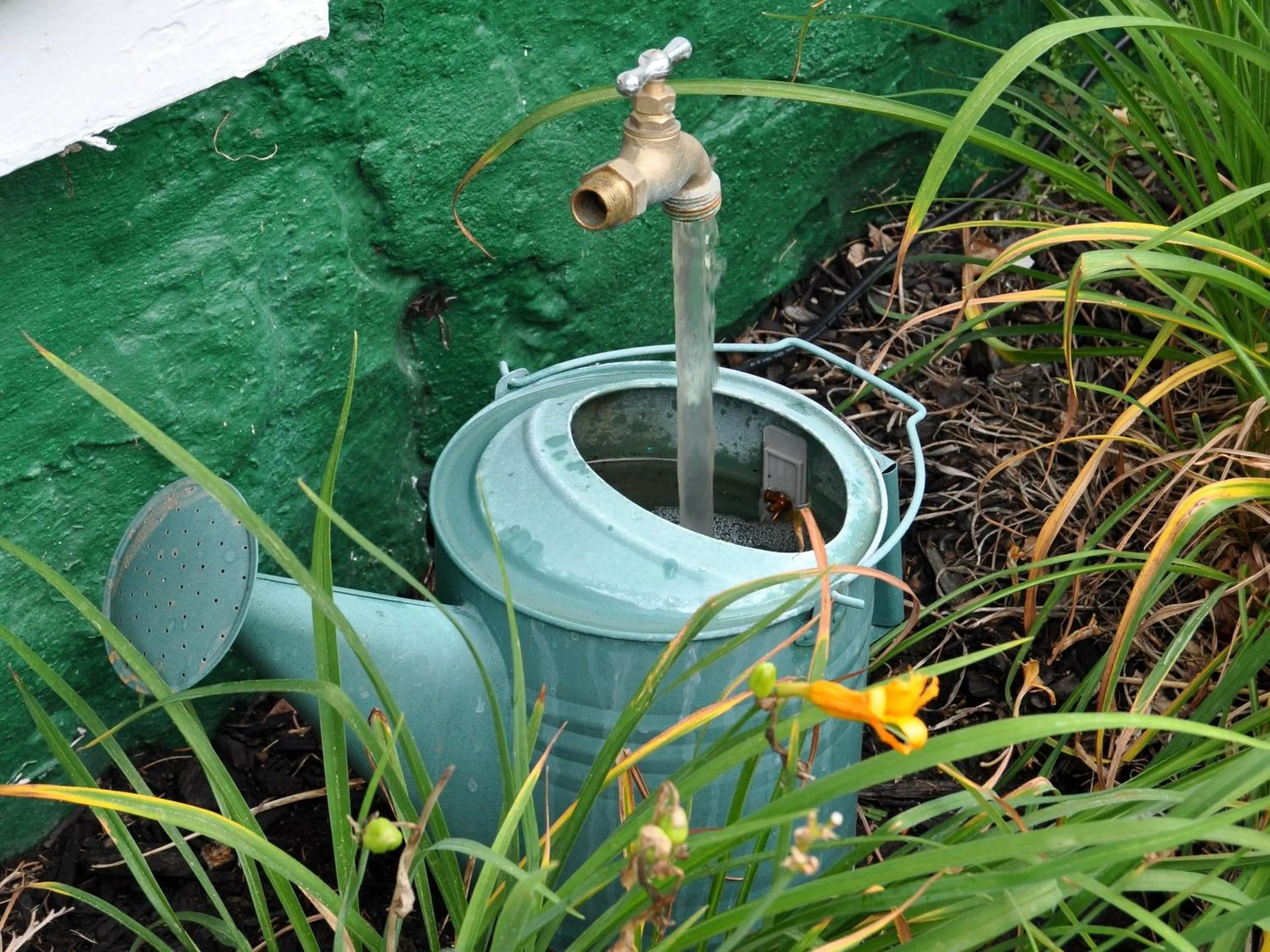 Property building in Anne's Washington Inn