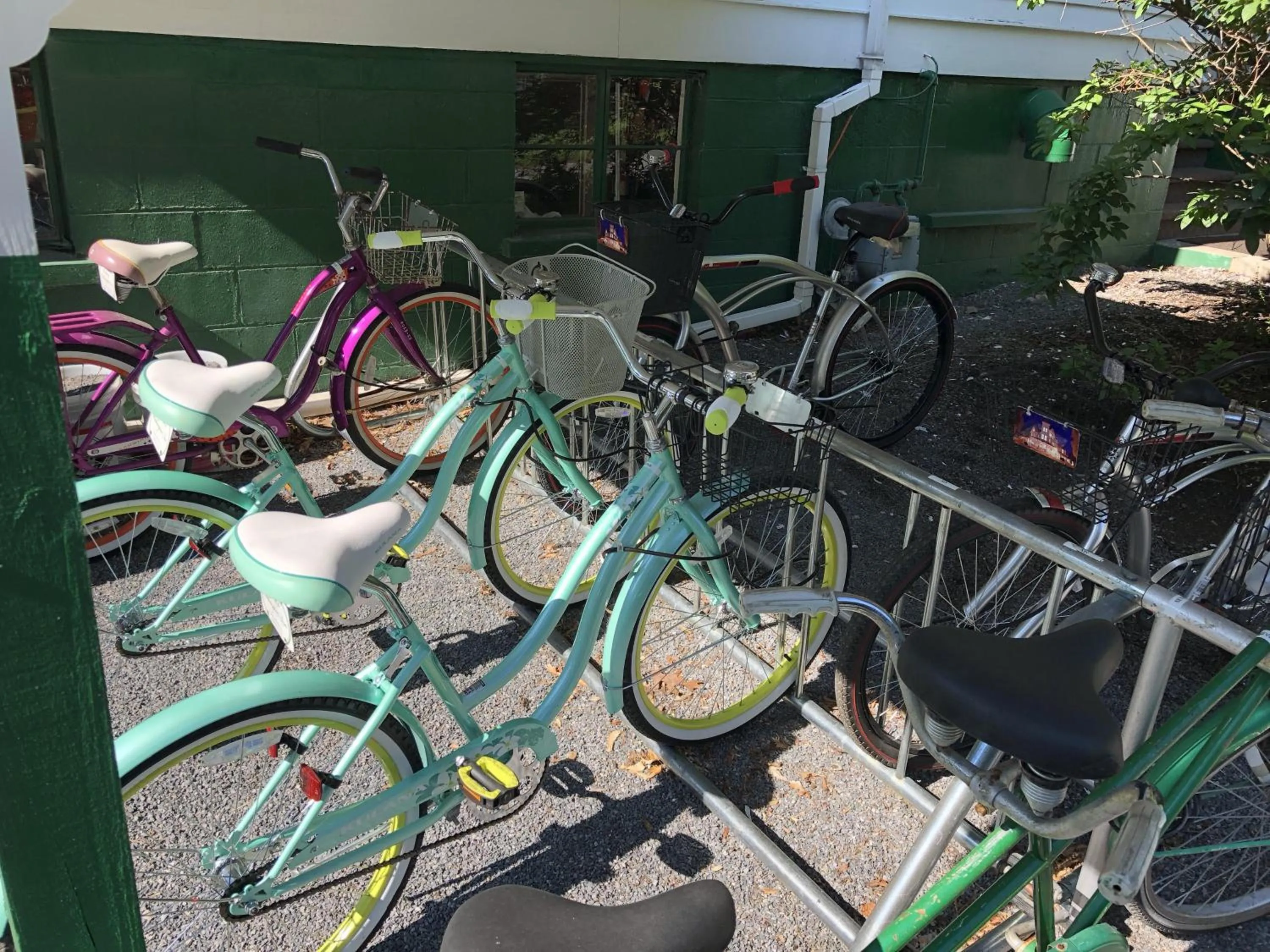 Activities in Anne's Washington Inn