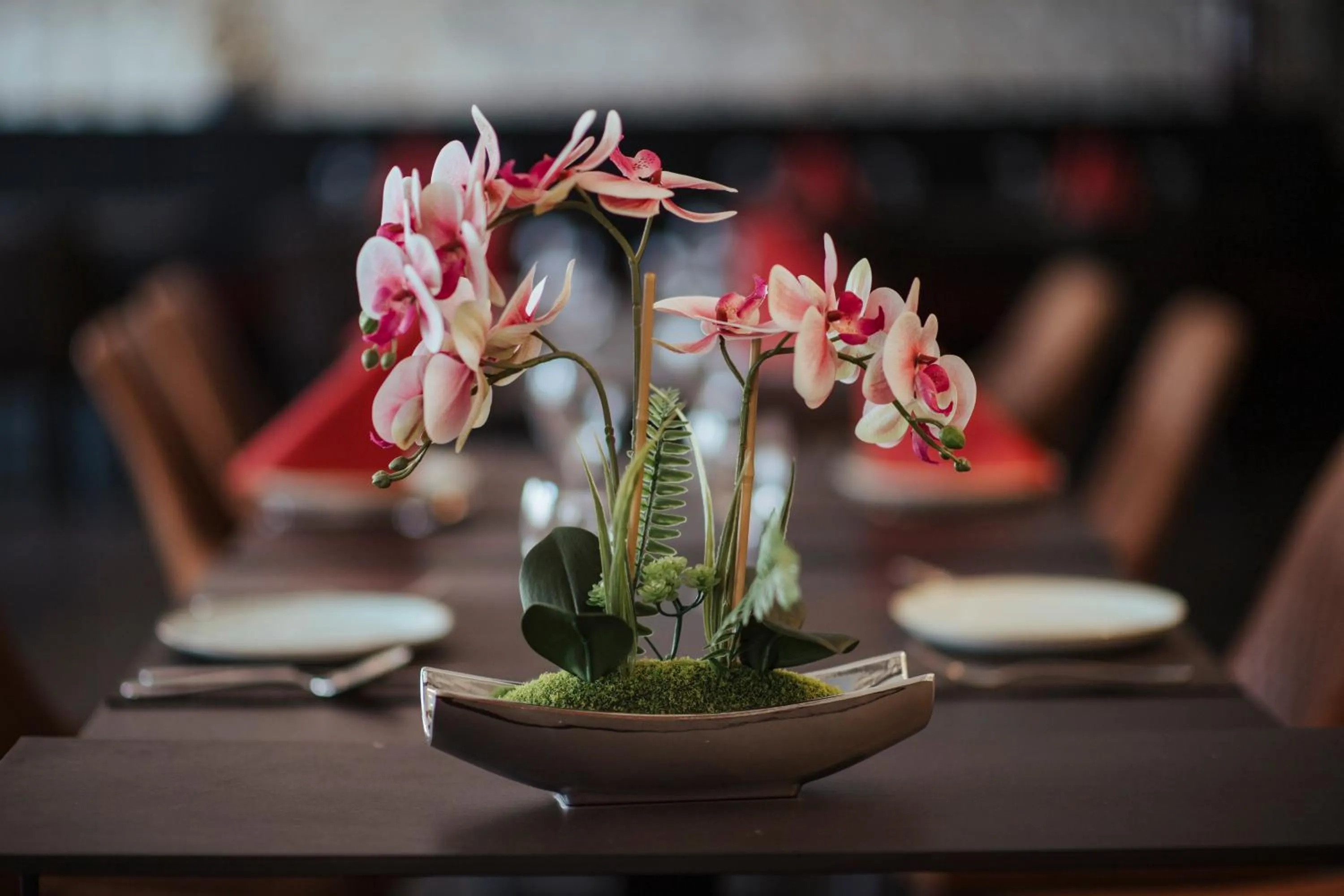 Restaurant/places to eat in Hotel Lindenhof