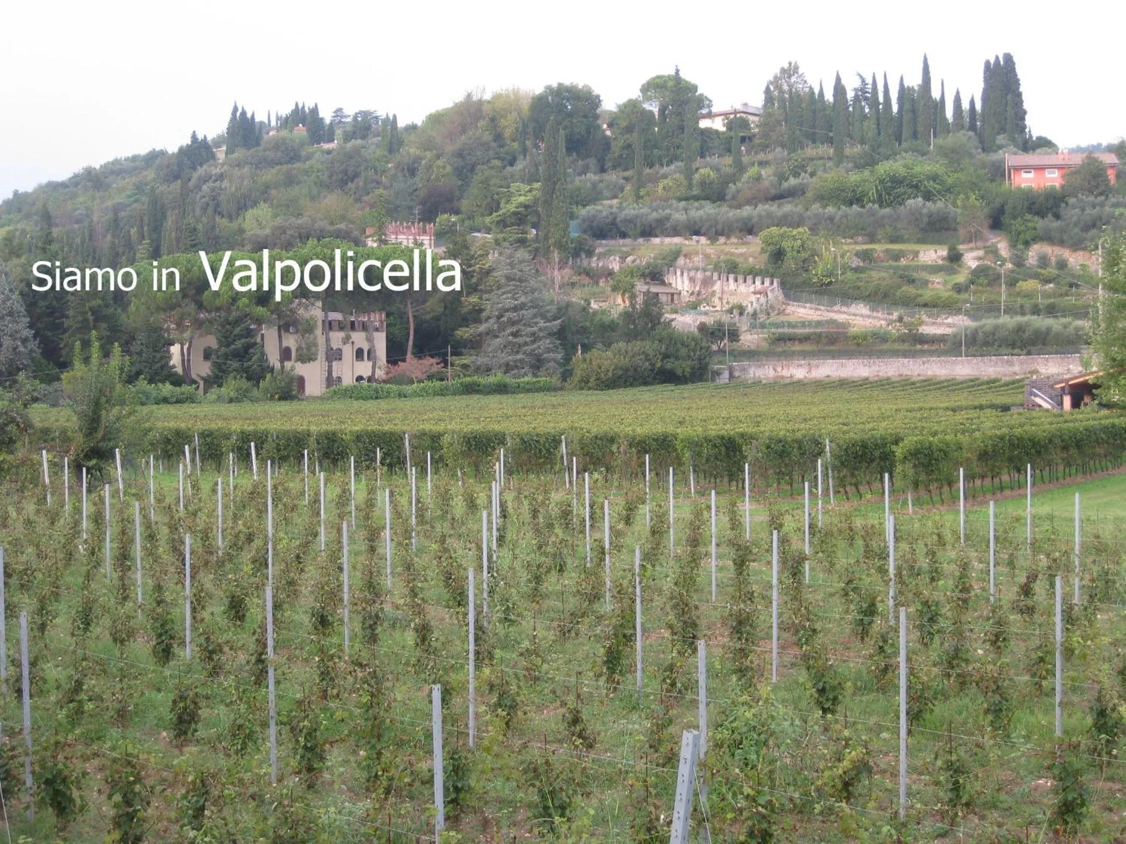 View (from property/room) in Agriturismo Terra E Sole