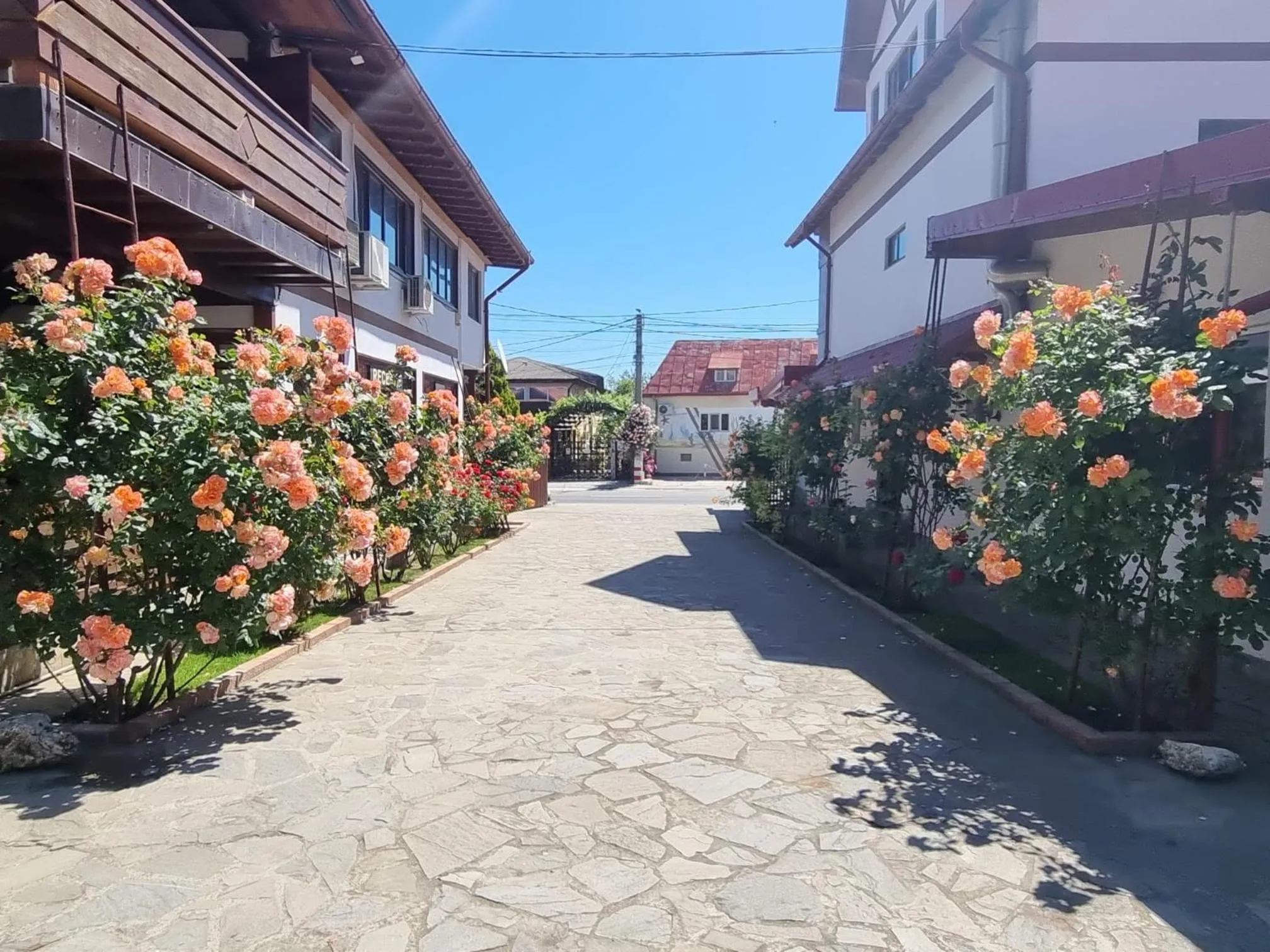 Property building in Casa Luca