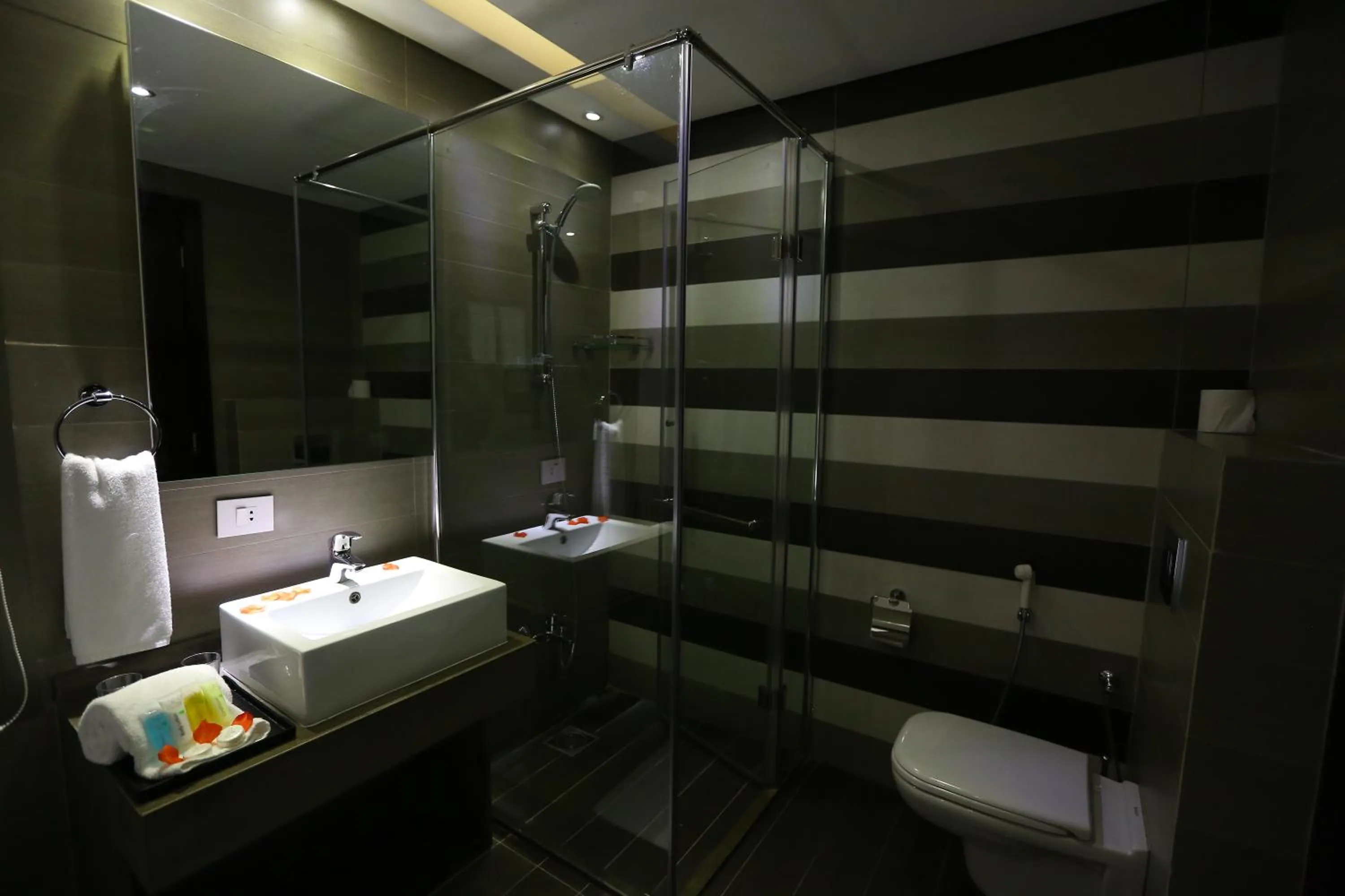 Shower in Jounieh Suites Boutique Hotel