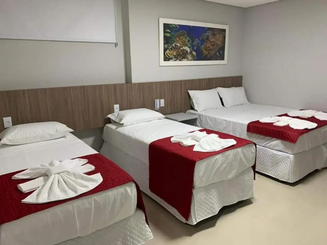 Photo of the whole room in Summit Pousada Noah Photo of the whole room in Summit Pousada Noah