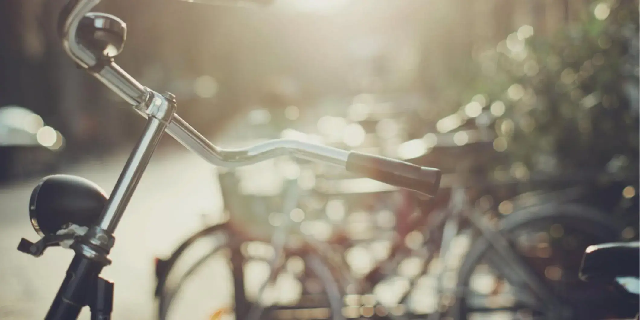 Fitness centre/facilities in Hotel Bristol Berlin Fitness centre/facilities in Hotel Bristol Berlin