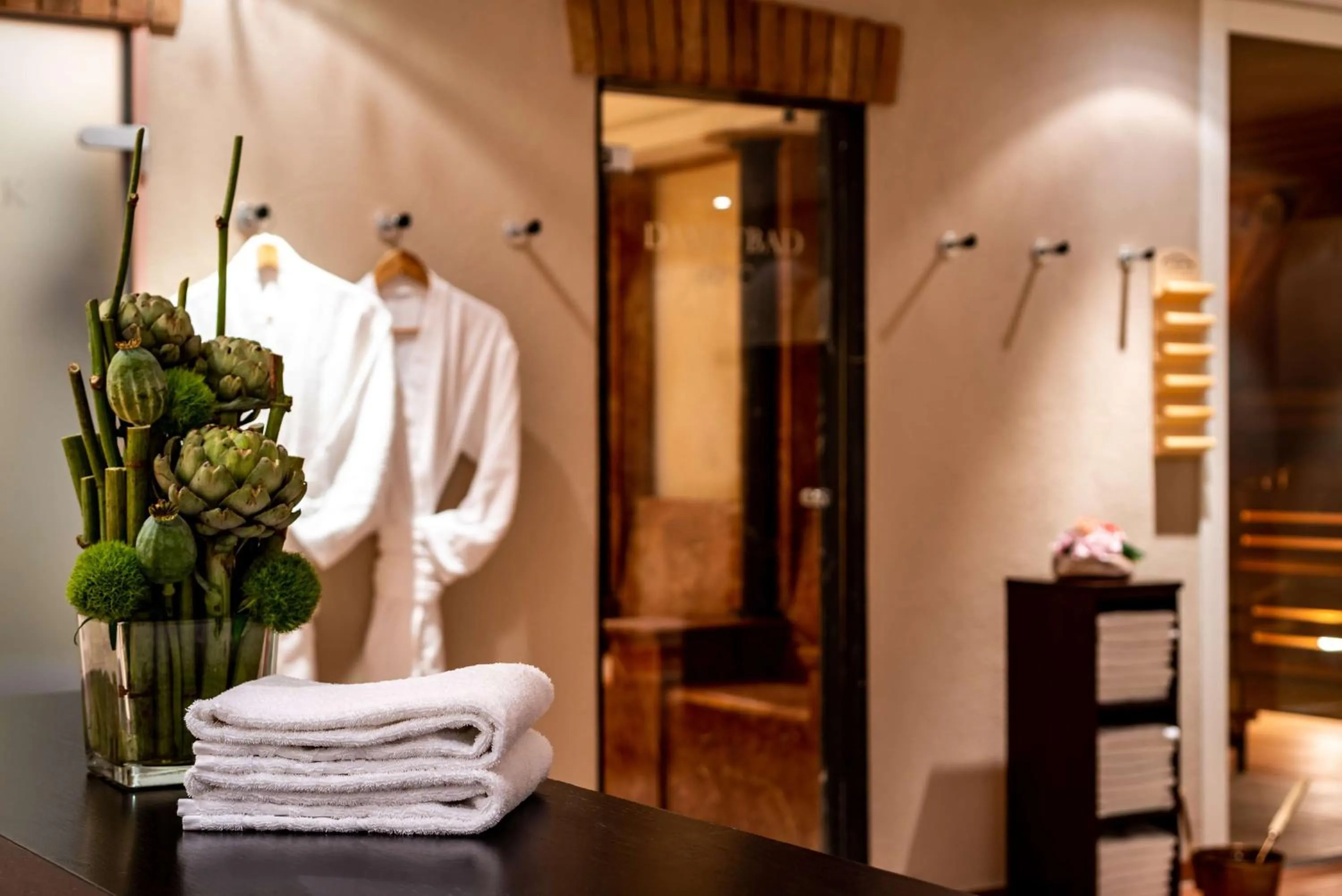 Spa and wellness centre/facilities in Park Plaza Trier