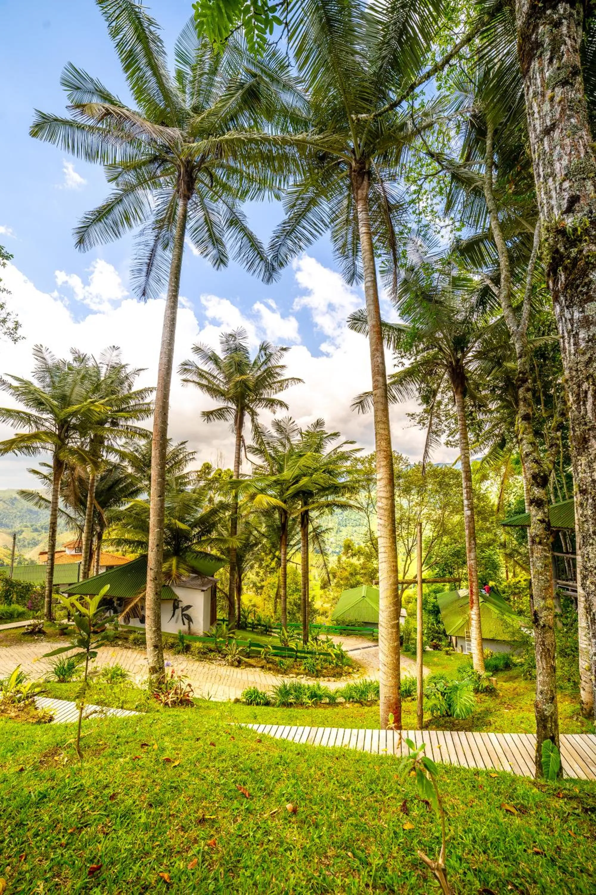 Natural landscape in Hotel Kawa Mountain Retreat