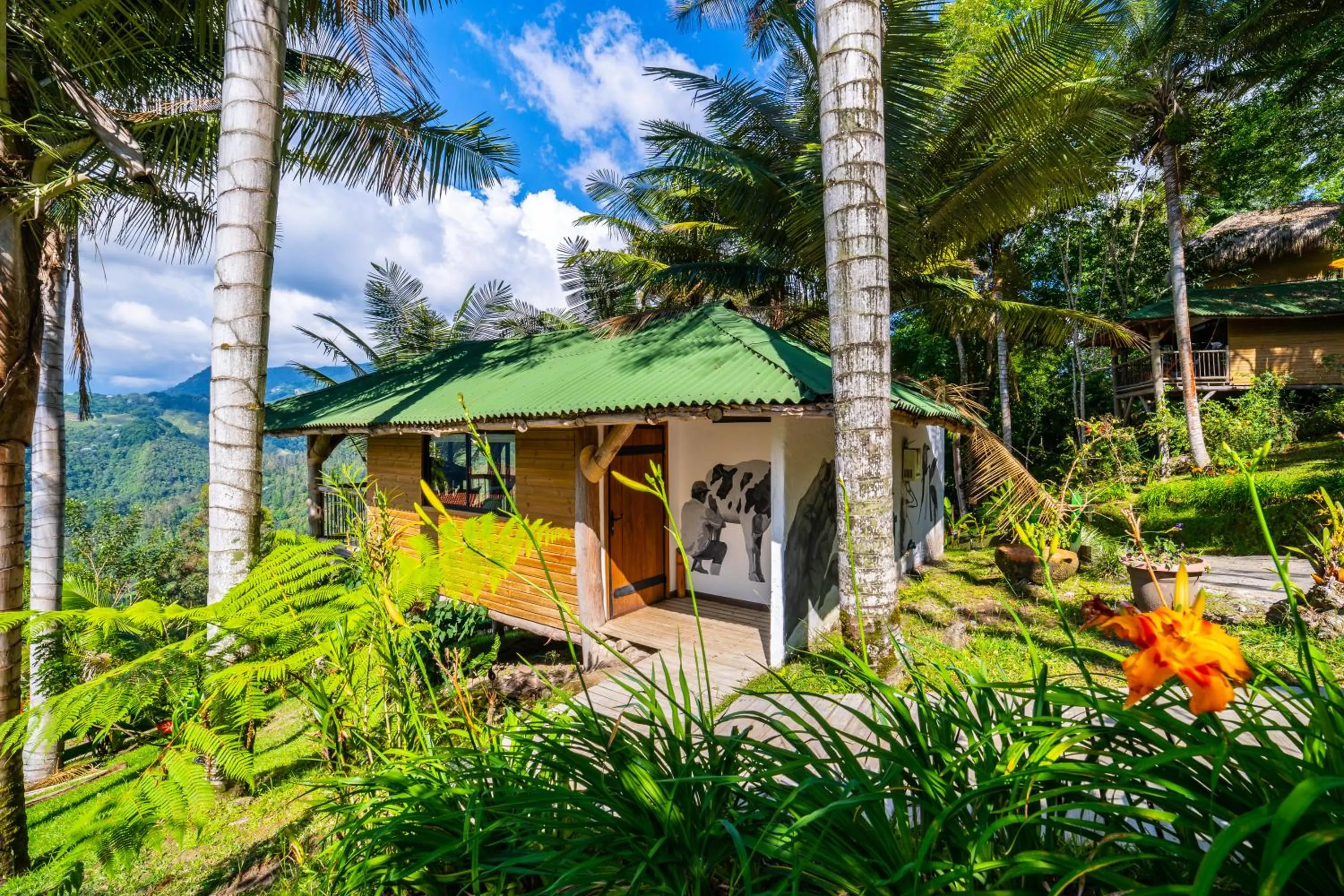 Natural landscape in Hotel Kawa Mountain Retreat