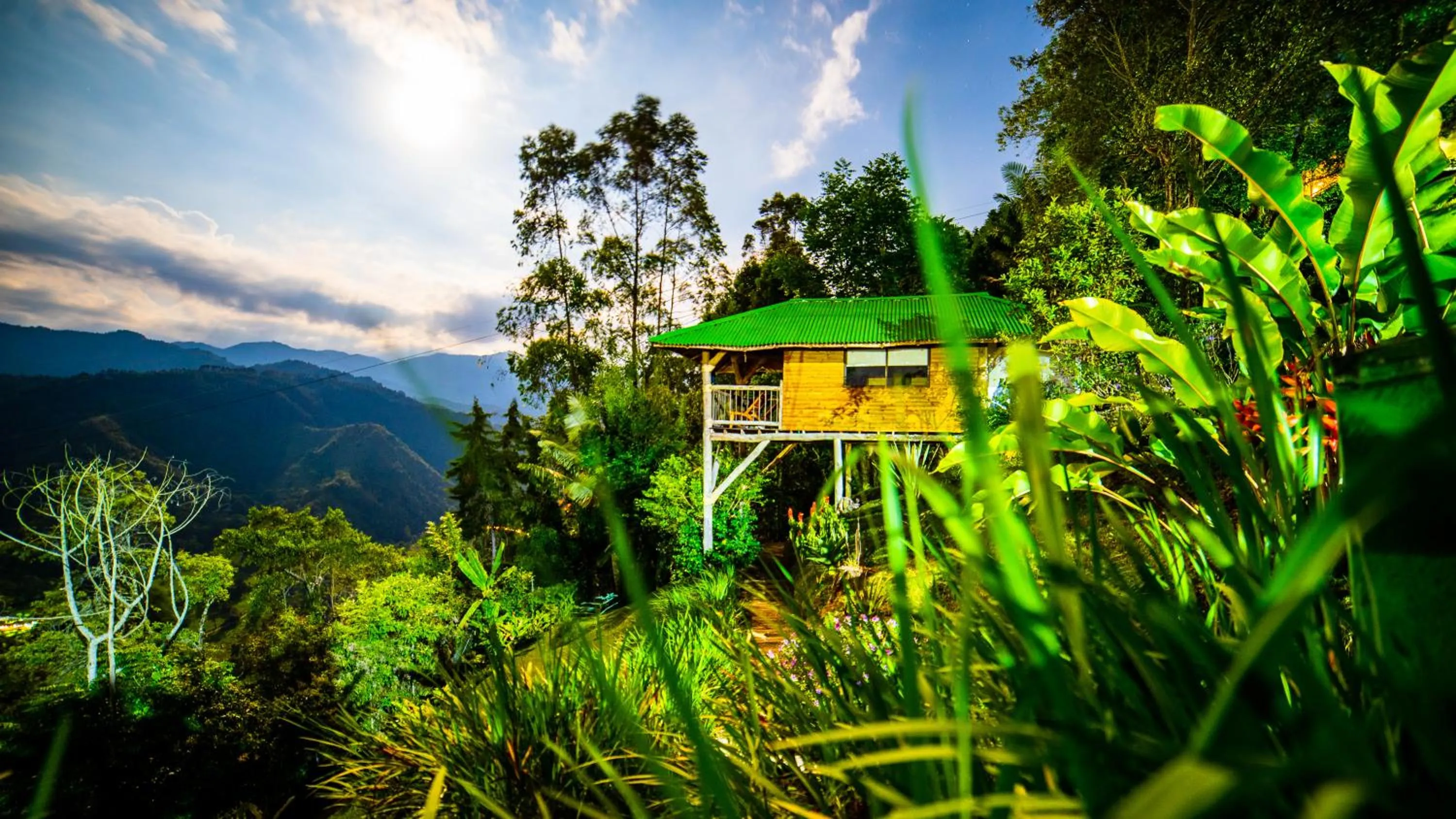 Natural landscape in Hotel Kawa Mountain Retreat