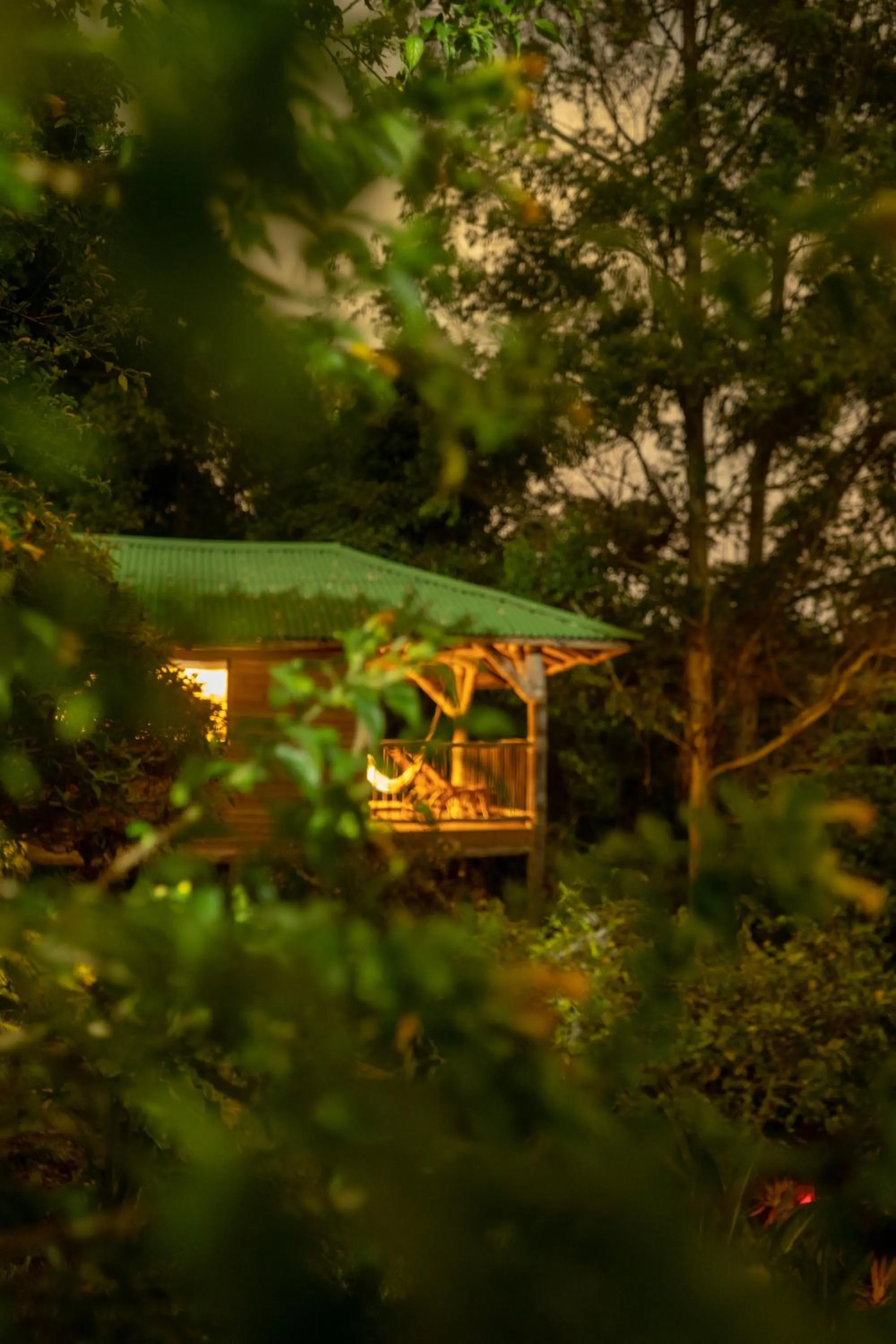 Garden in Hotel Kawa Mountain Retreat