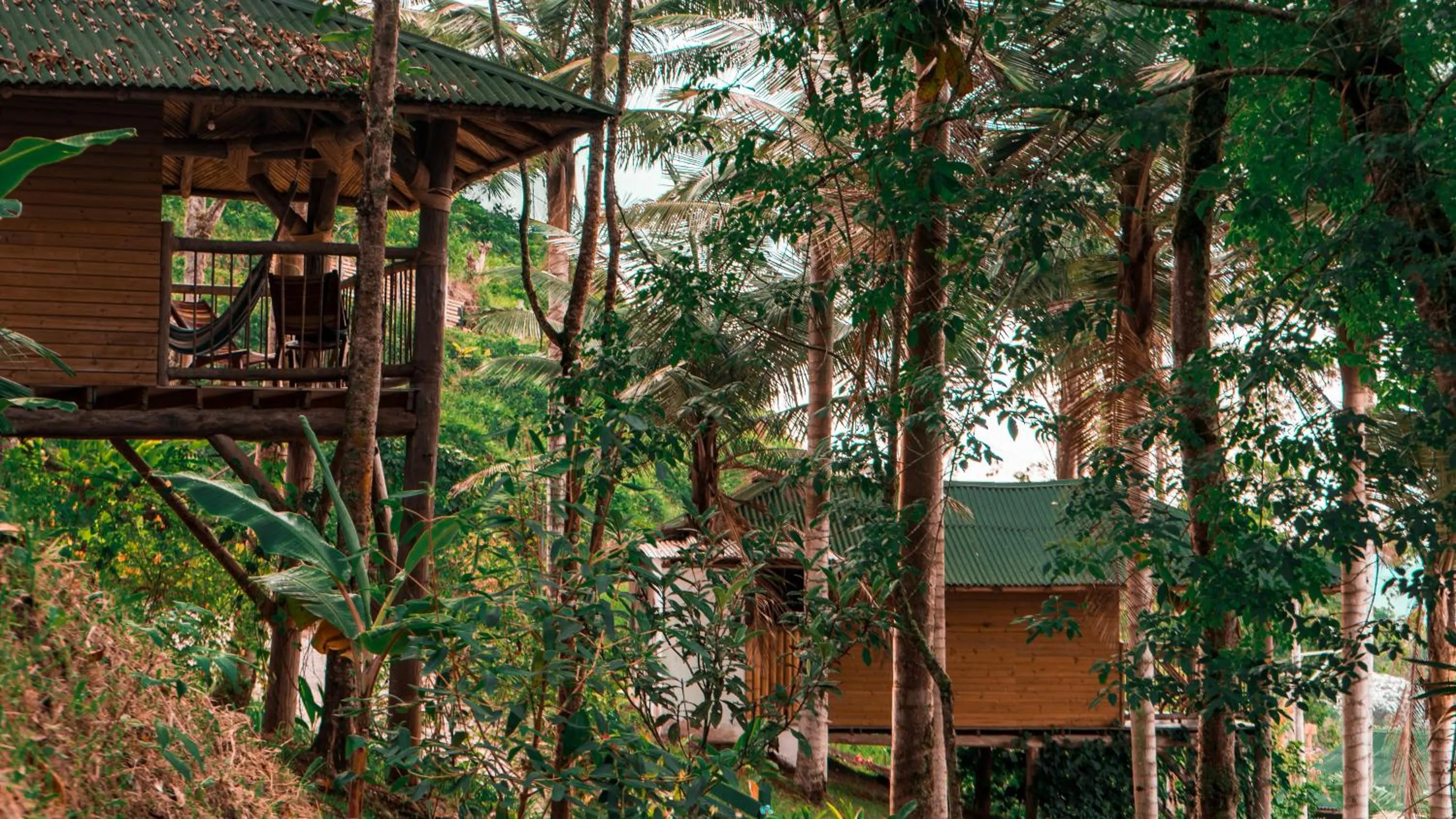 Natural landscape in Hotel Kawa Mountain Retreat