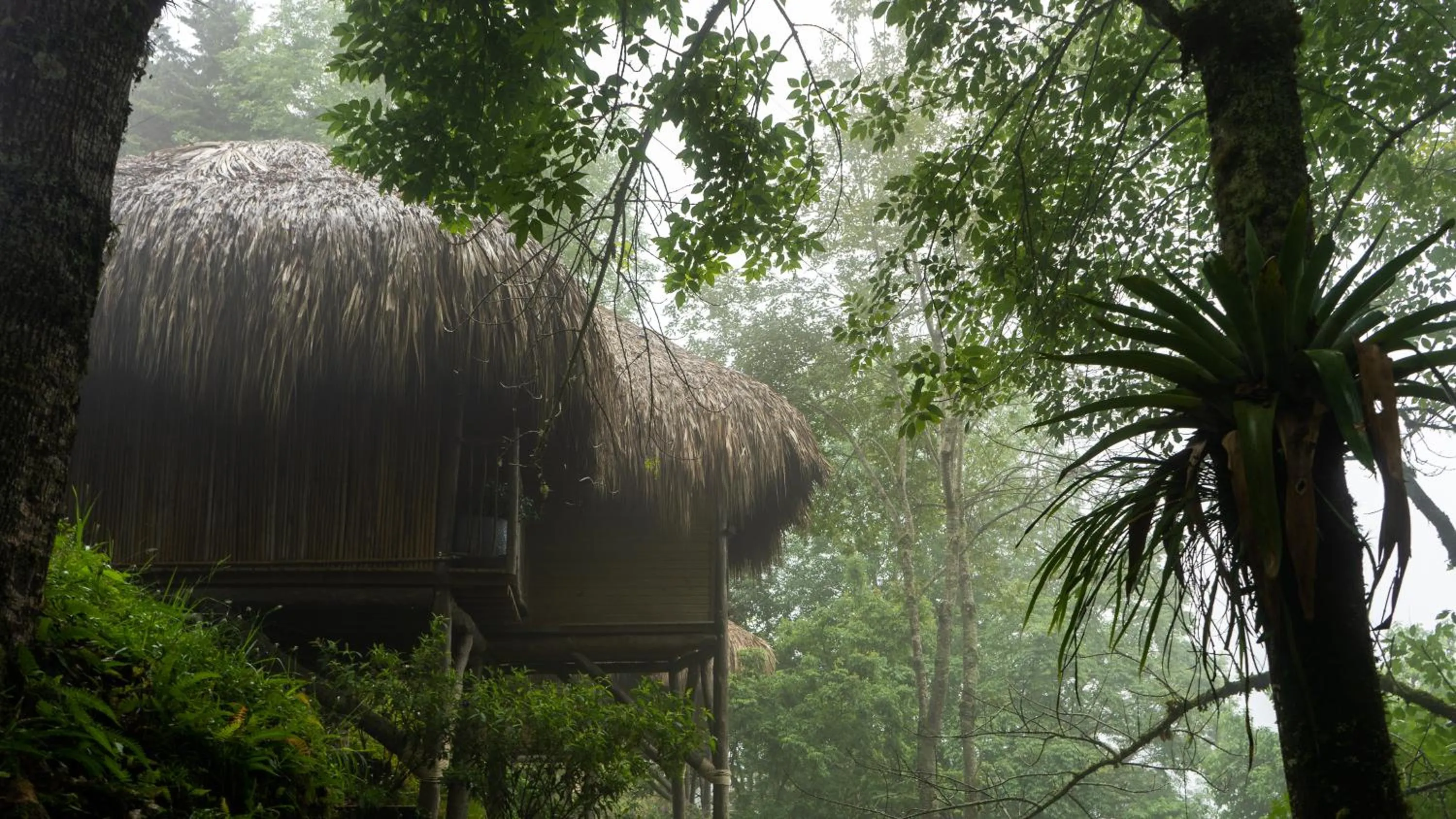 Natural landscape in Hotel Kawa Mountain Retreat