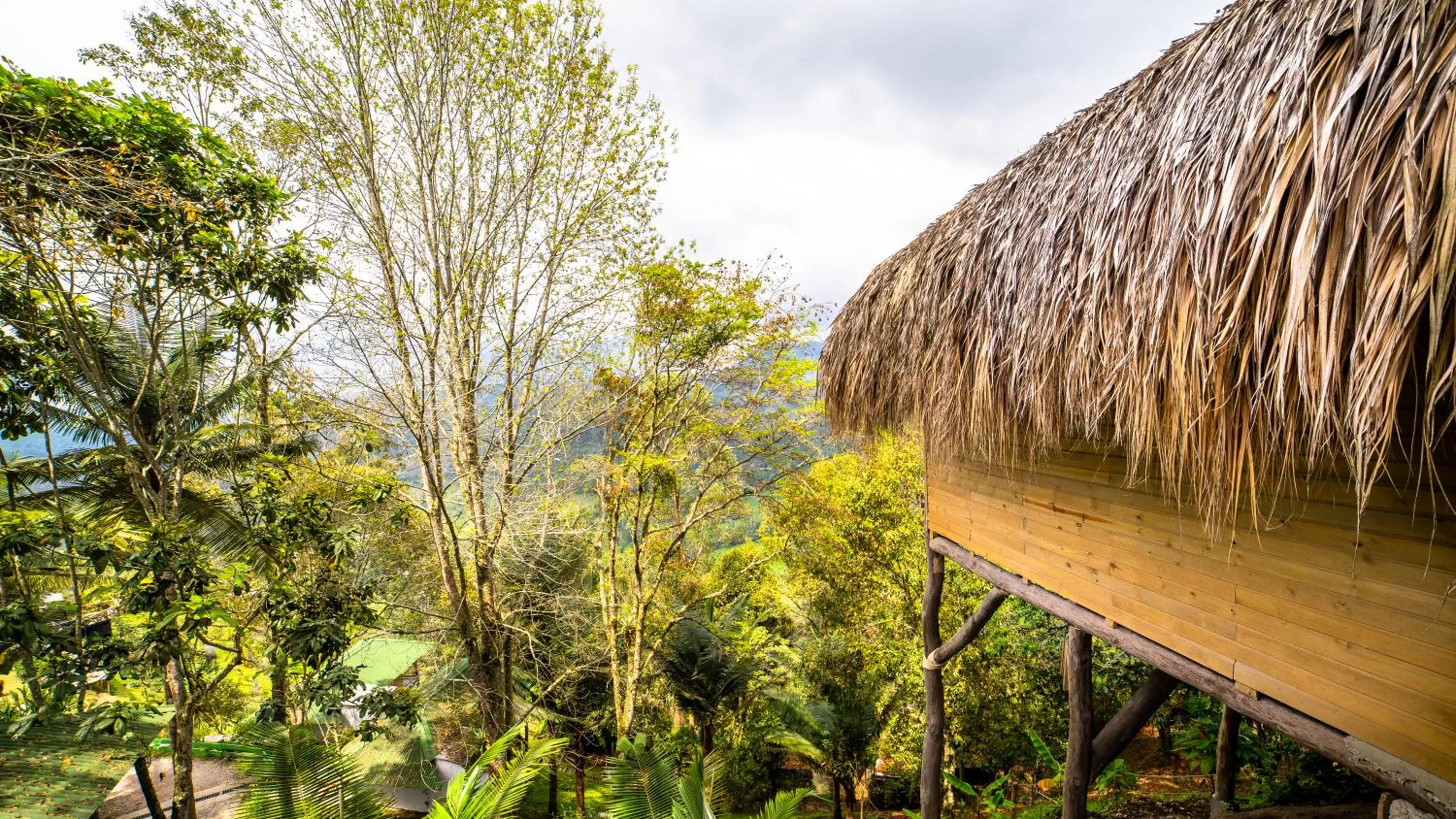 Off site in Hotel Kawa Mountain Retreat