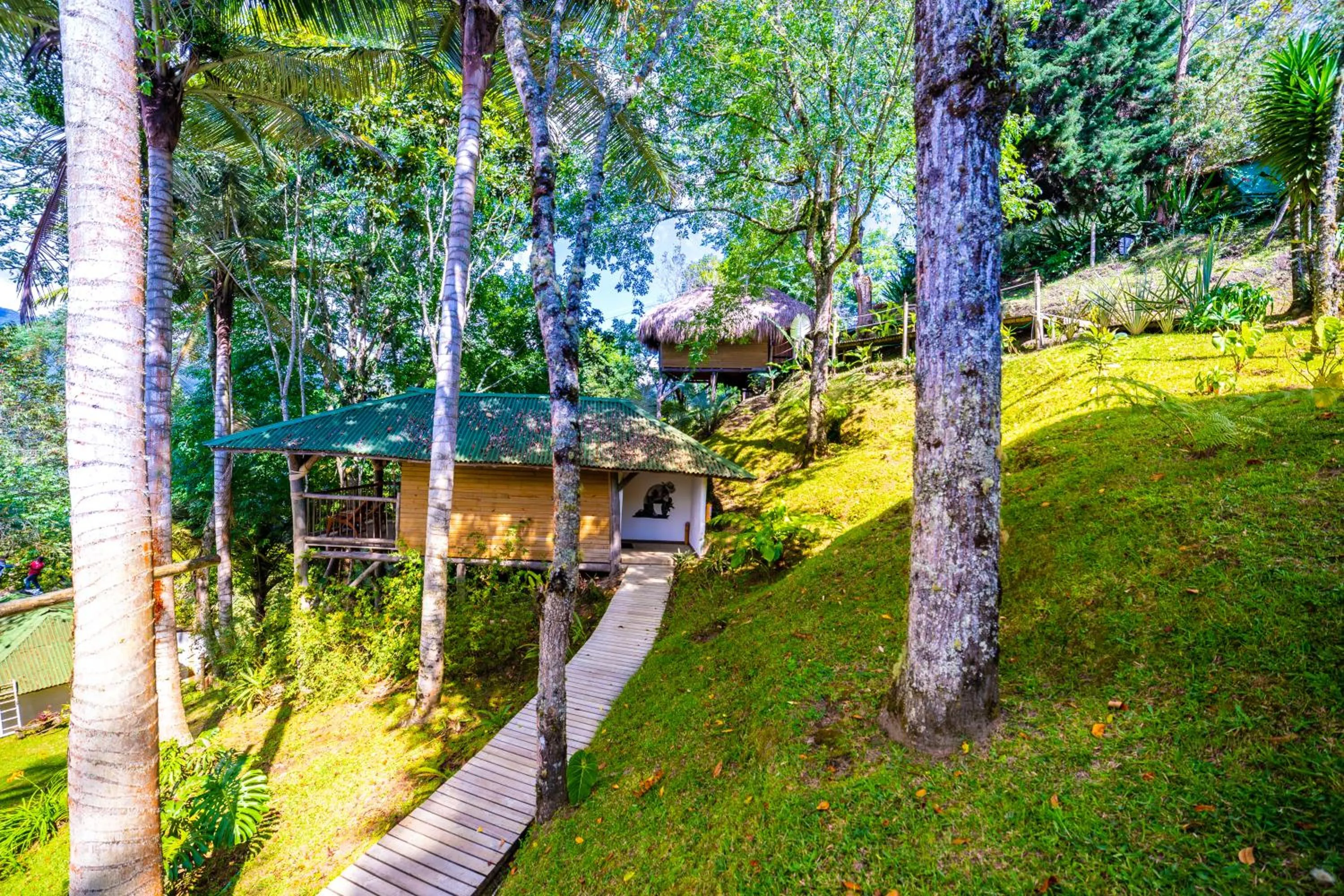 Garden view in Hotel Kawa Mountain Retreat