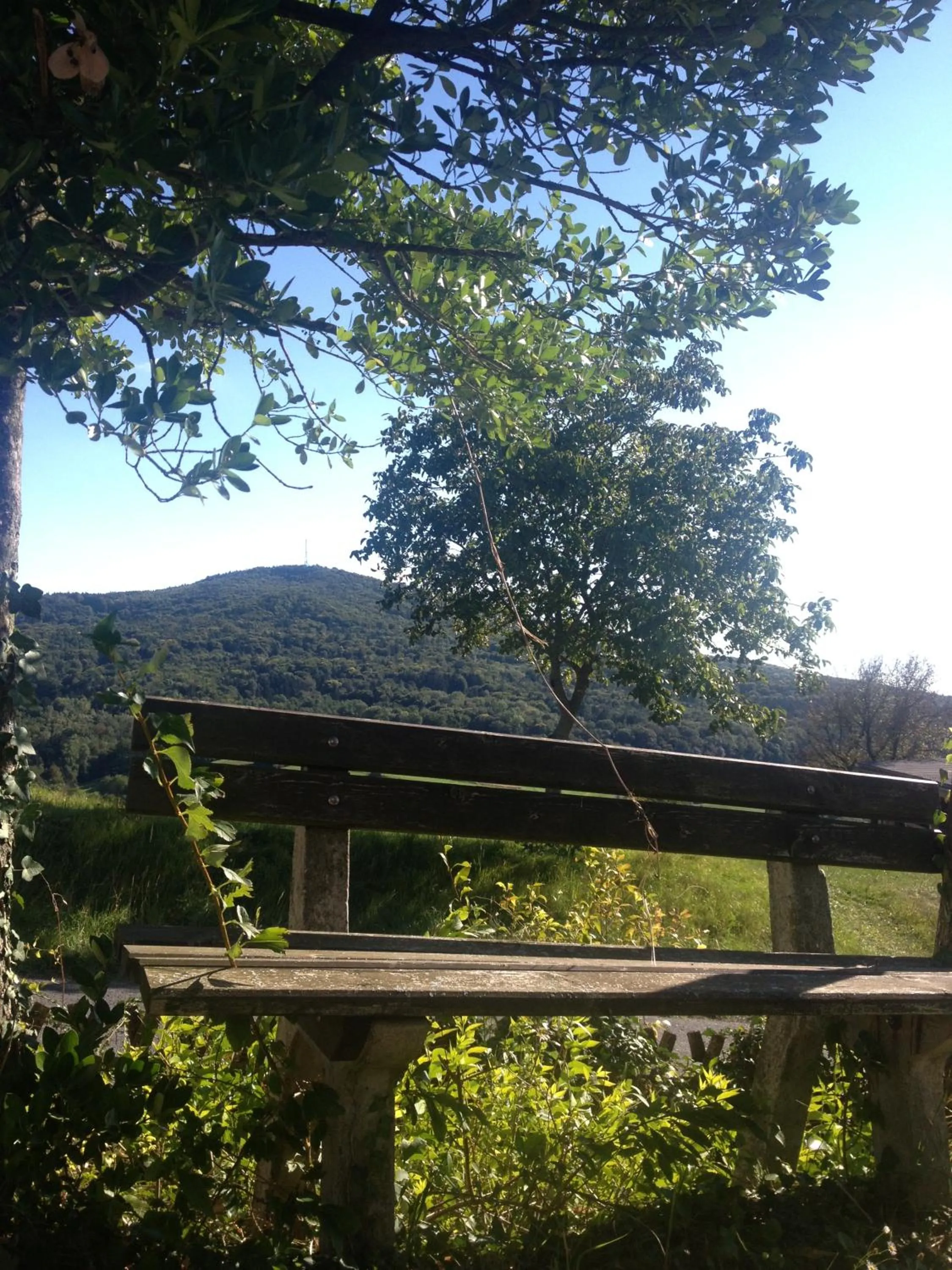 Mountain view in Casa Anna
