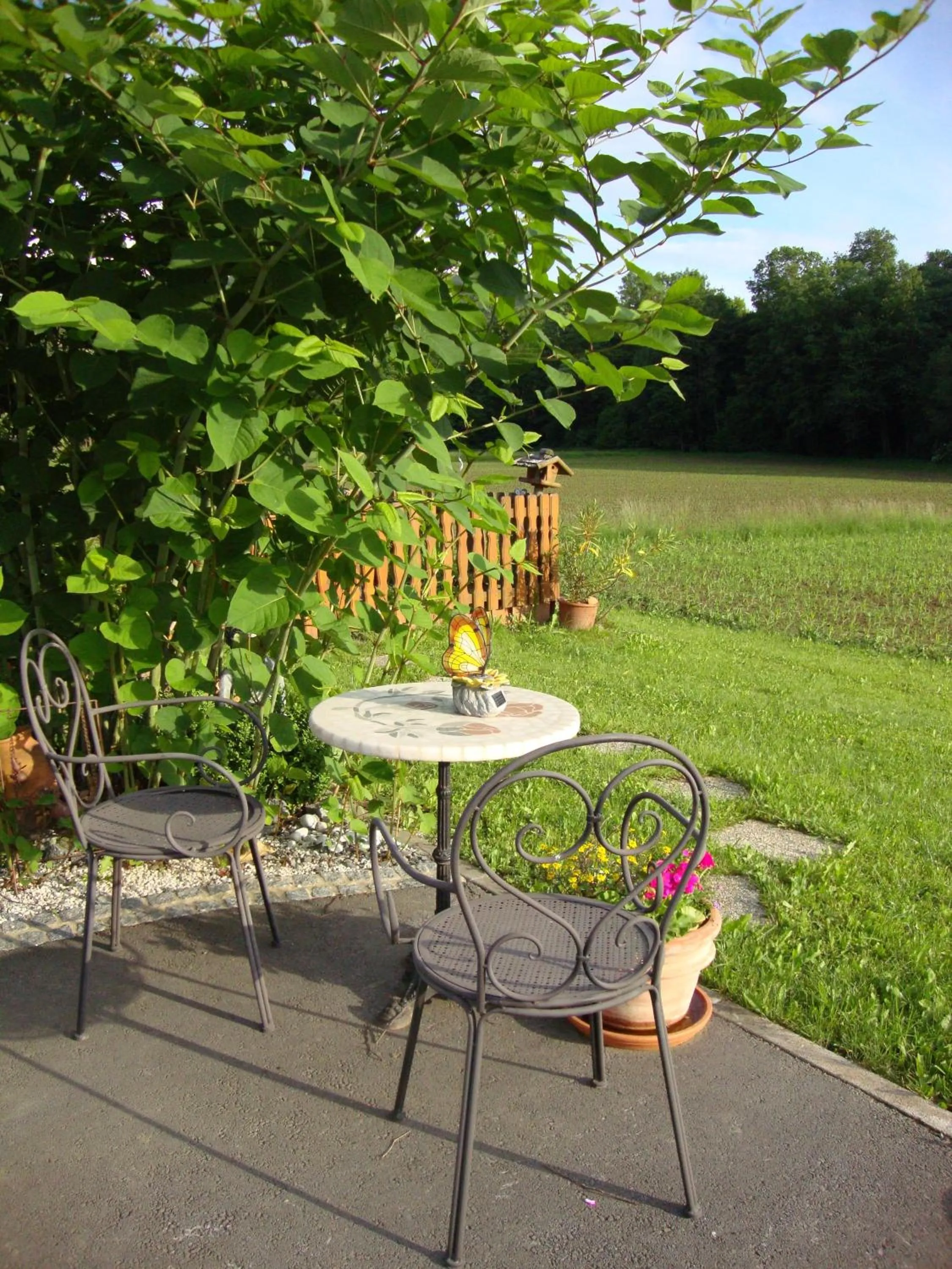 Garden in Casa Anna