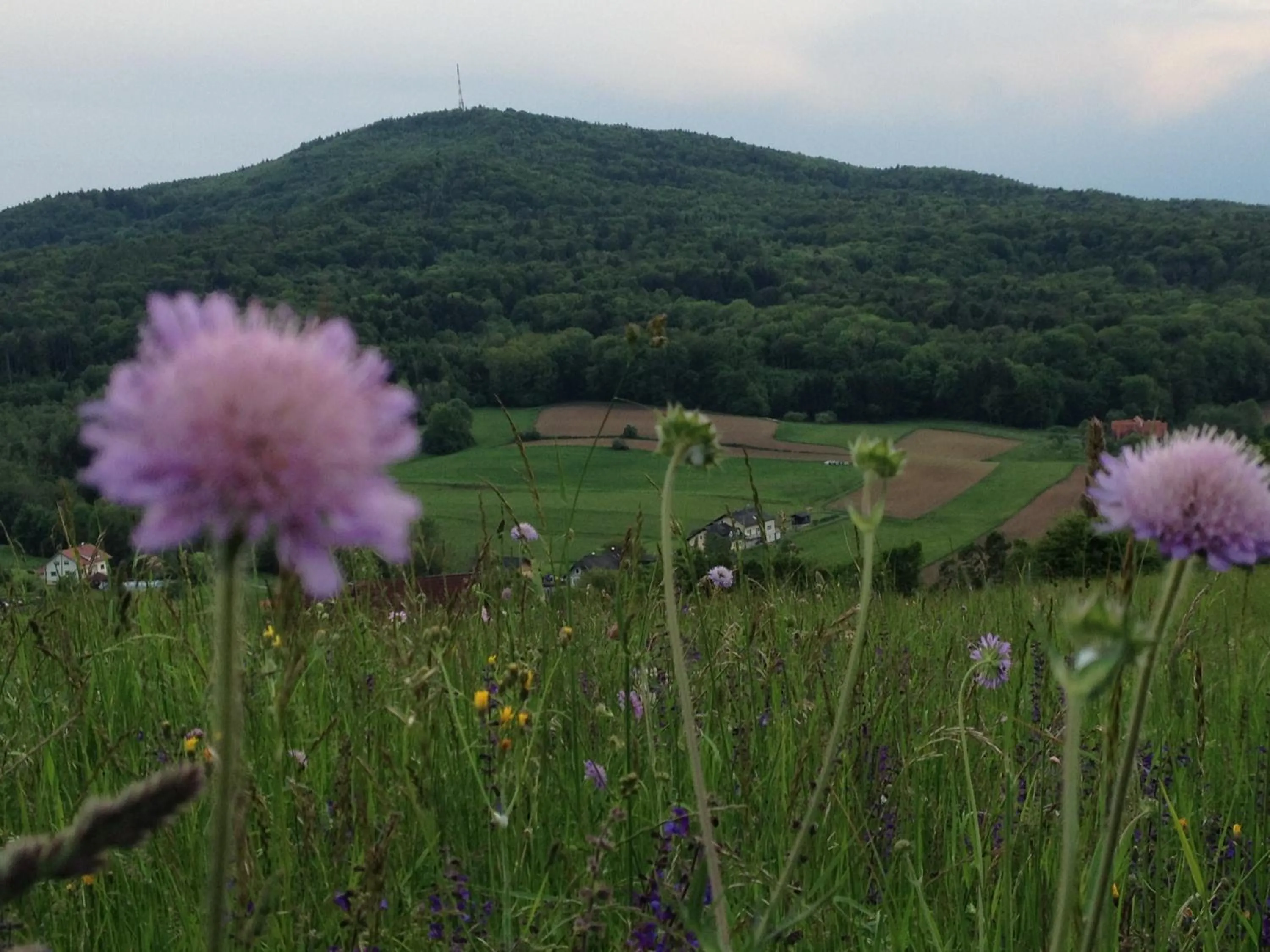 Mountain view in Casa Anna