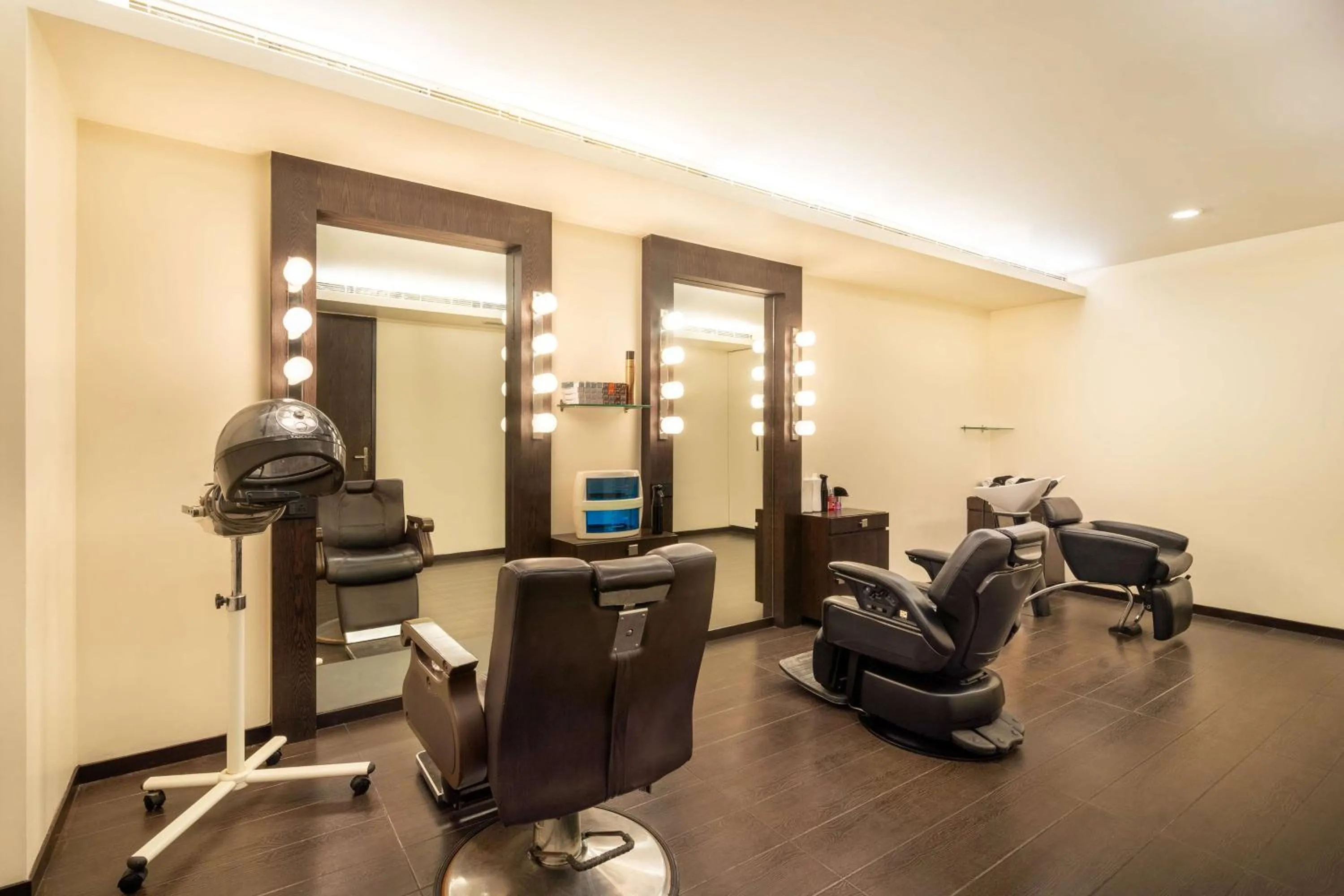 Spa and wellness centre/facilities in Park Plaza Faridabad