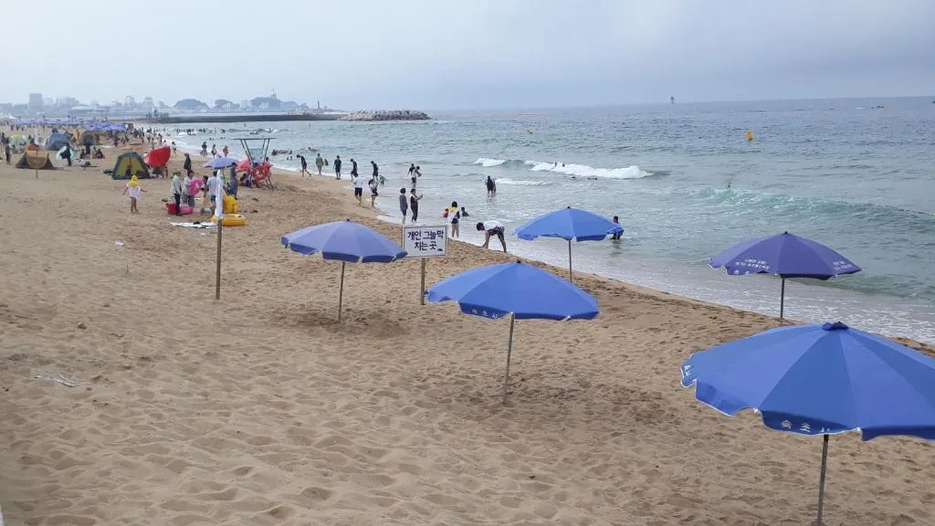 Beach in SunriseHotel JuniorSuite room11F Ocean view, Netflix O