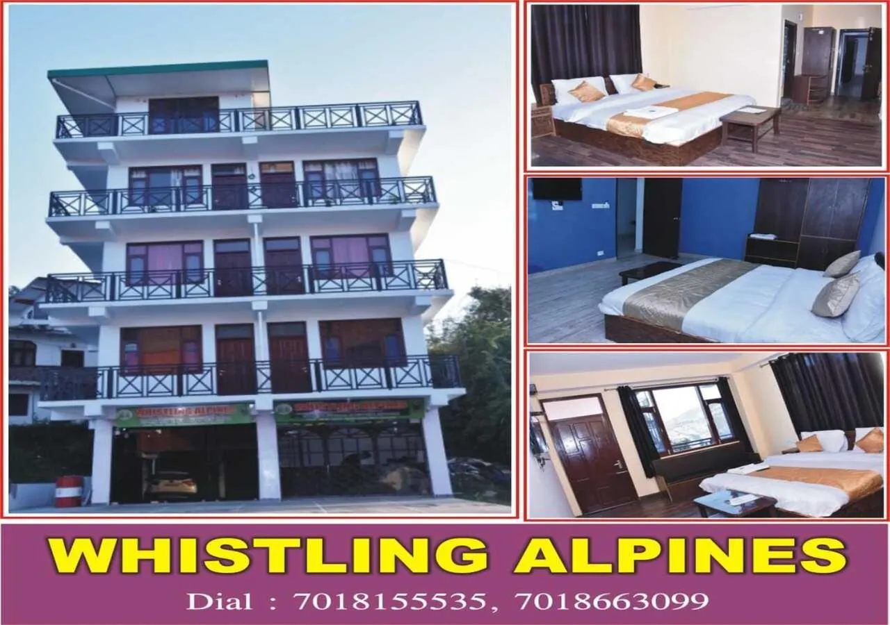 Property building in Whistling Alpines