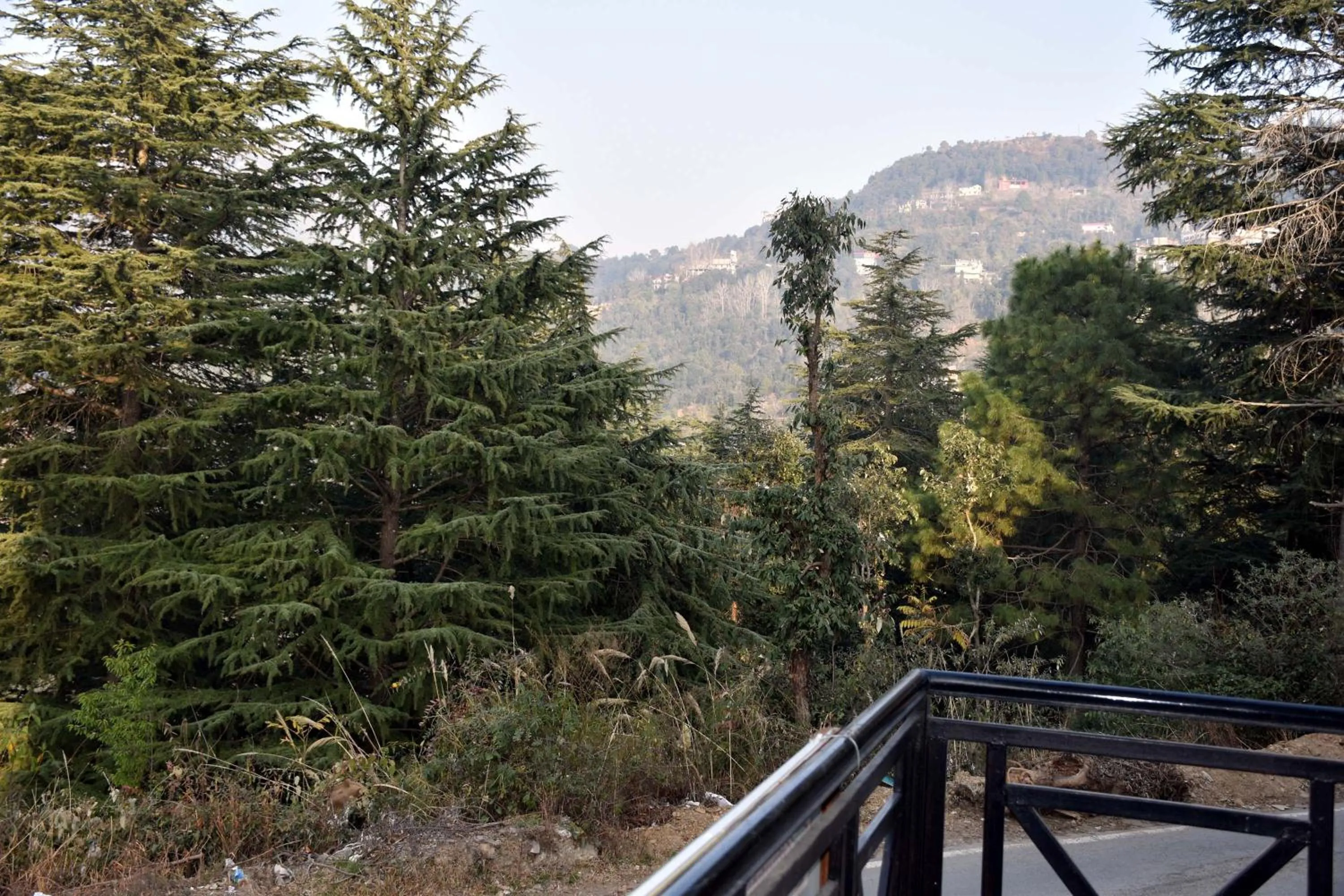 Natural landscape in Whistling Alpines