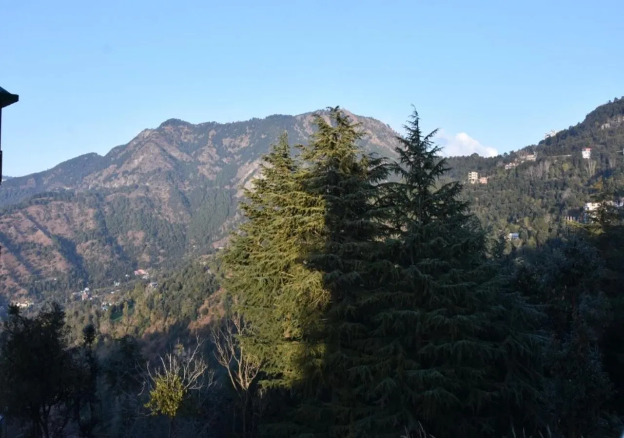 Mountain view in Whistling Alpines