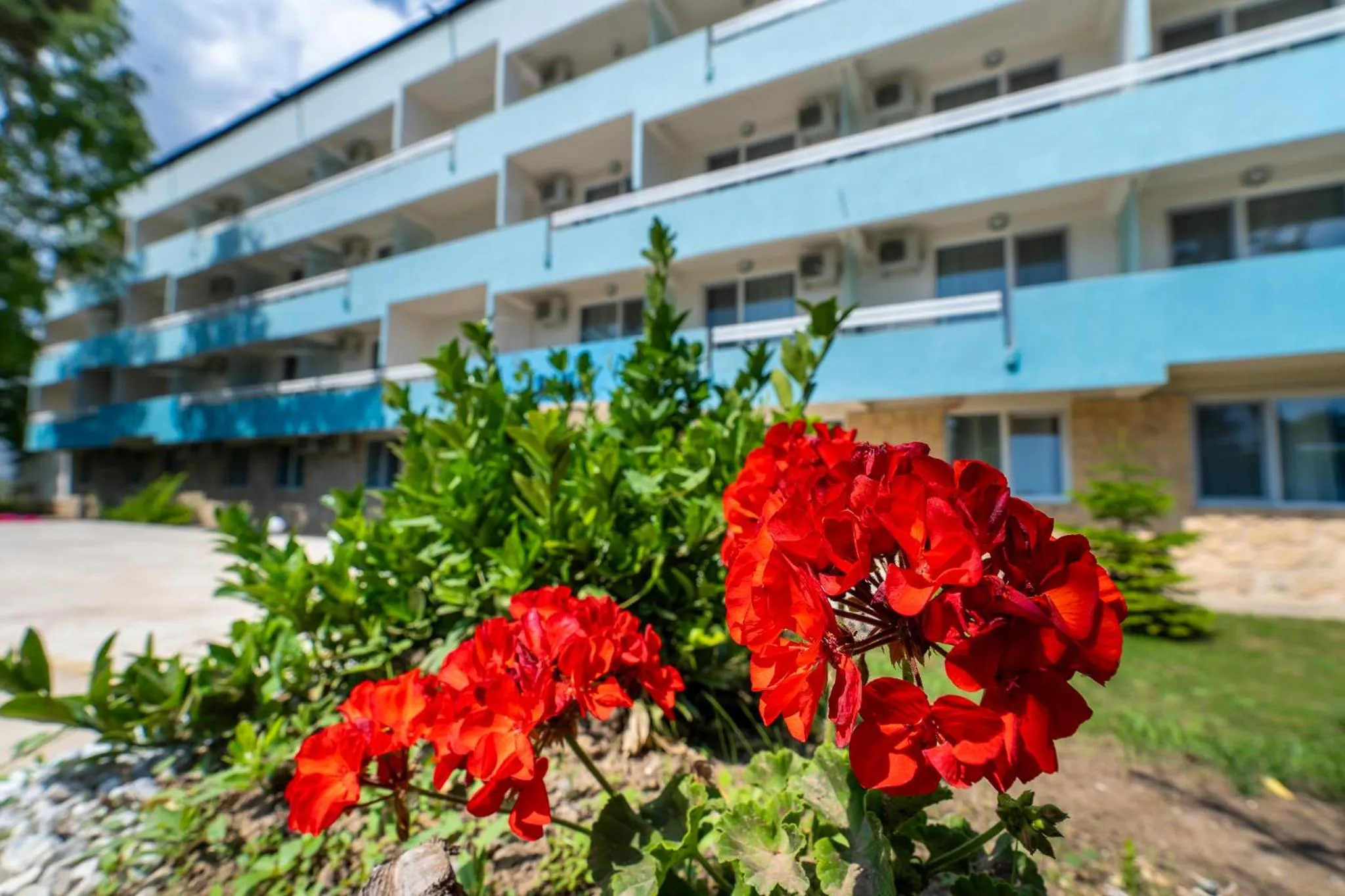 Property building in Mera Holiday Resort