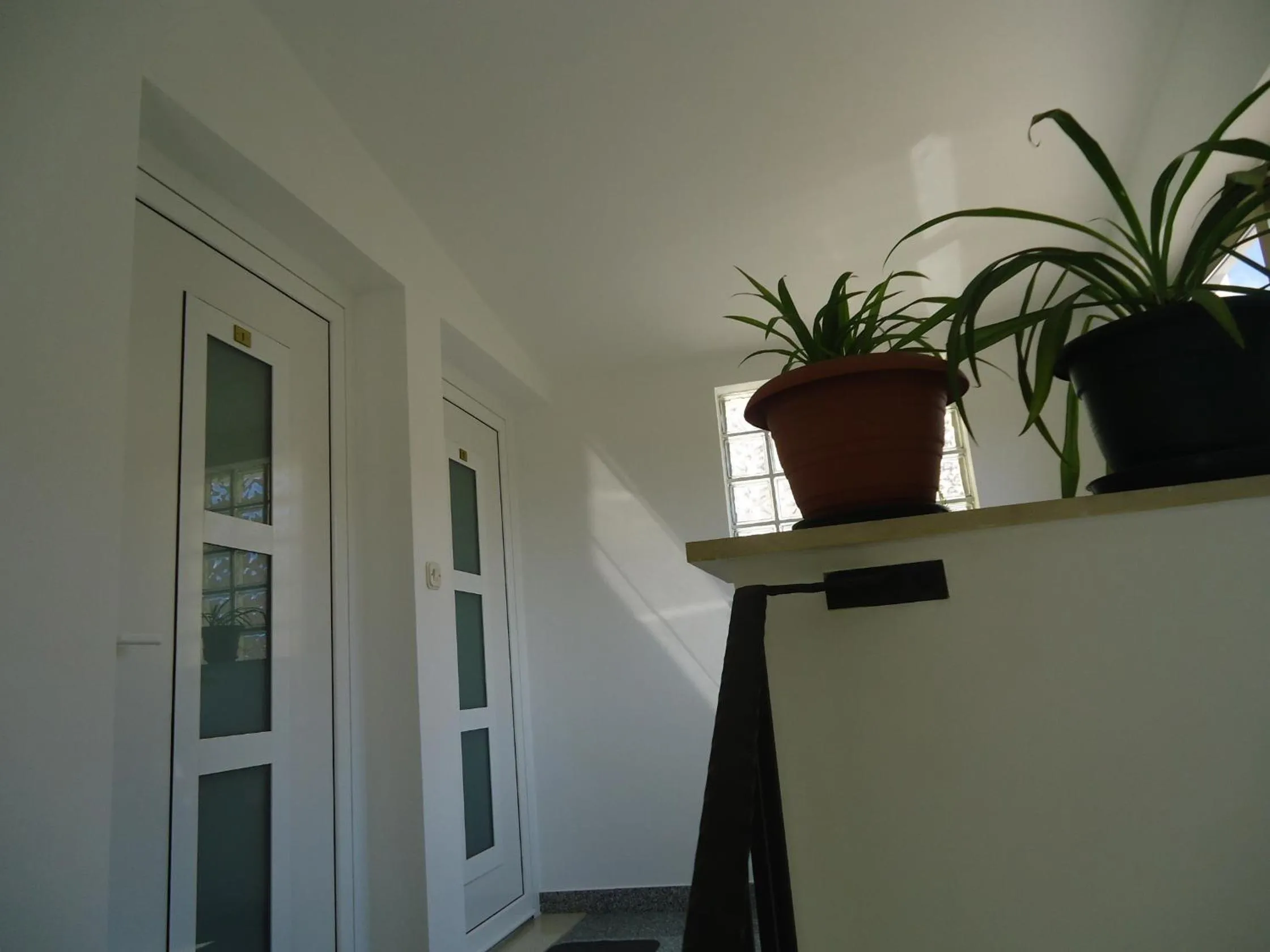 Decorative detail in Apartments Polonijo