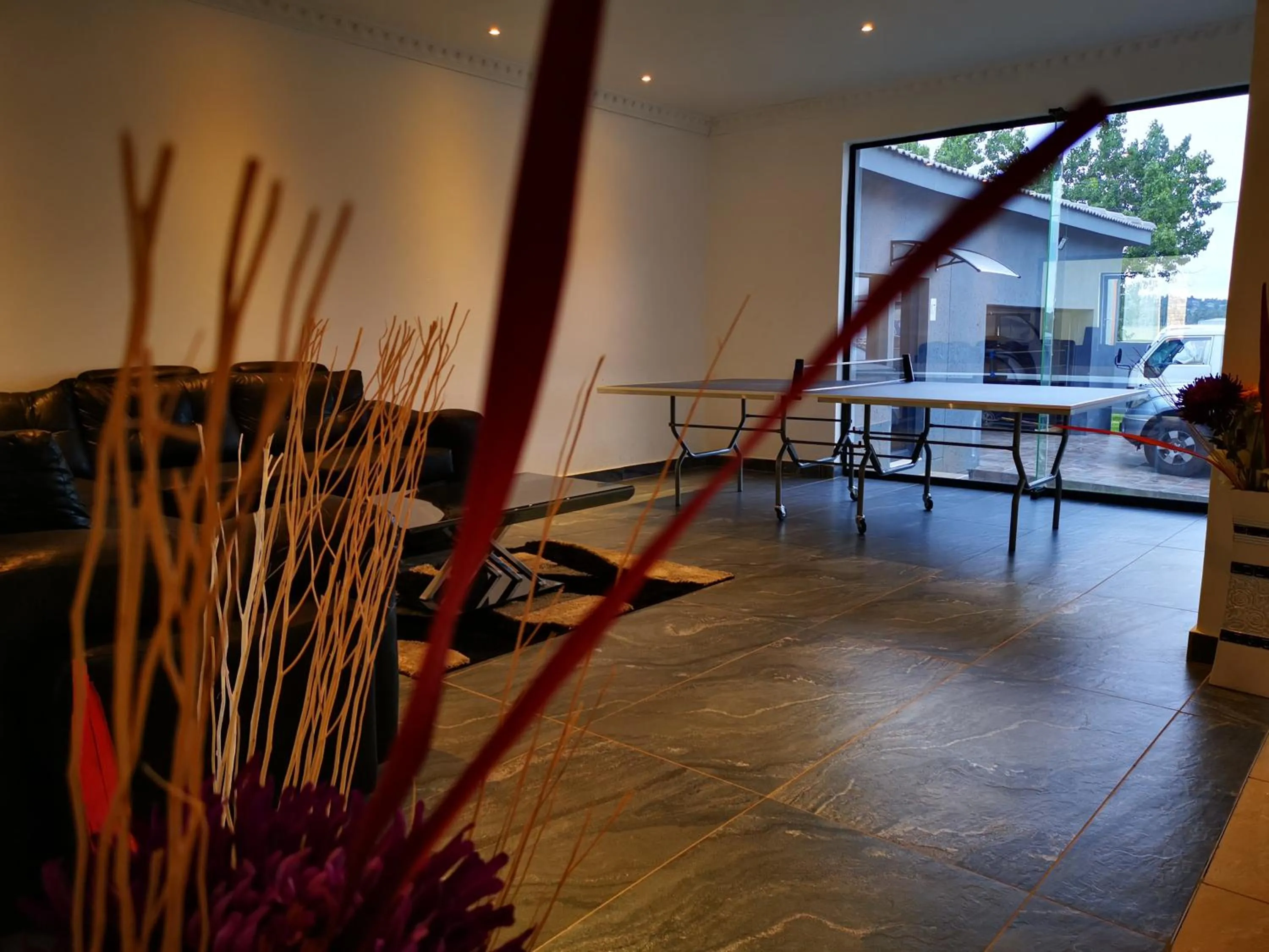 Evening entertainment in Green Olive Panorama