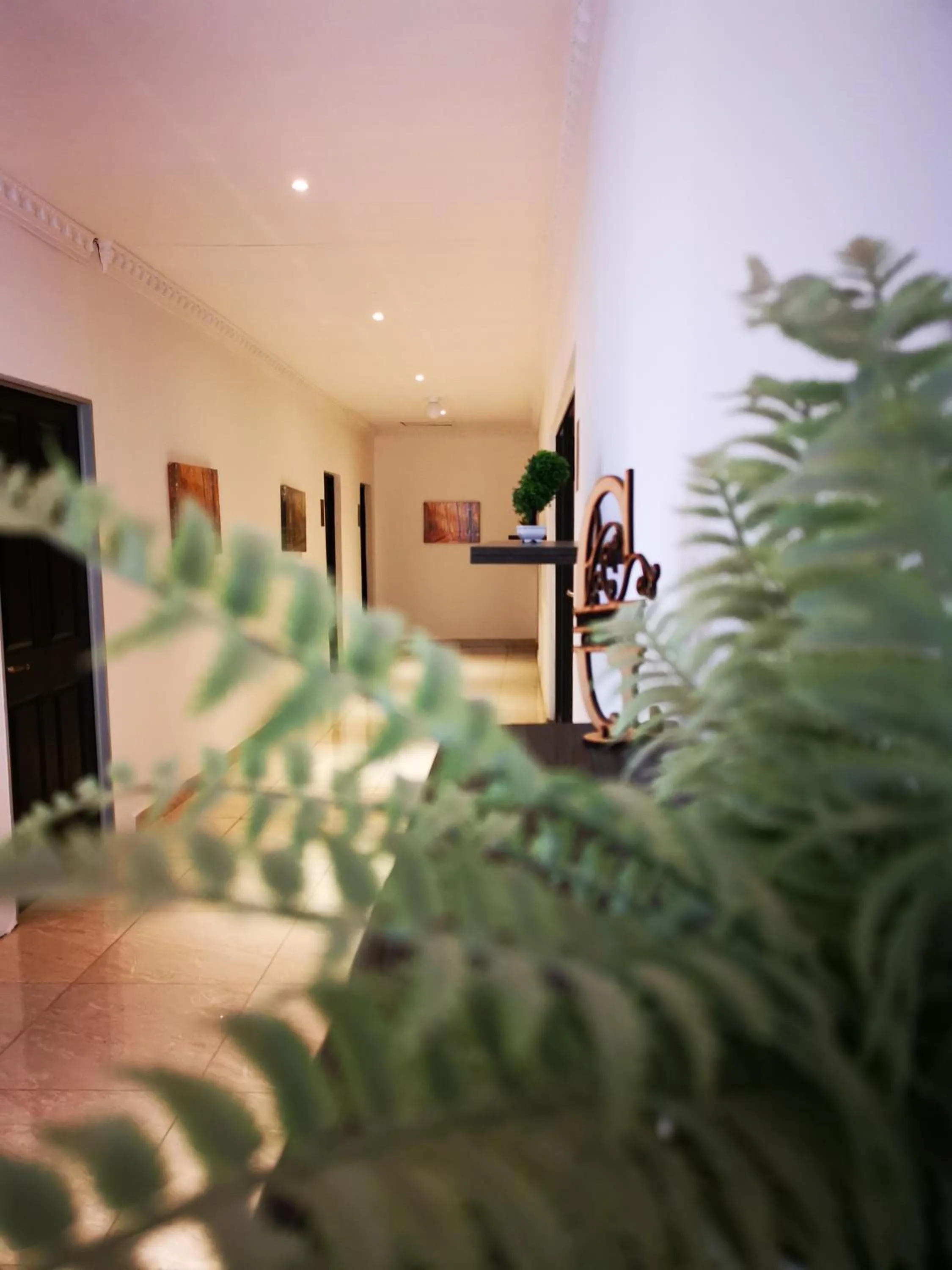 Green Olive Panorama