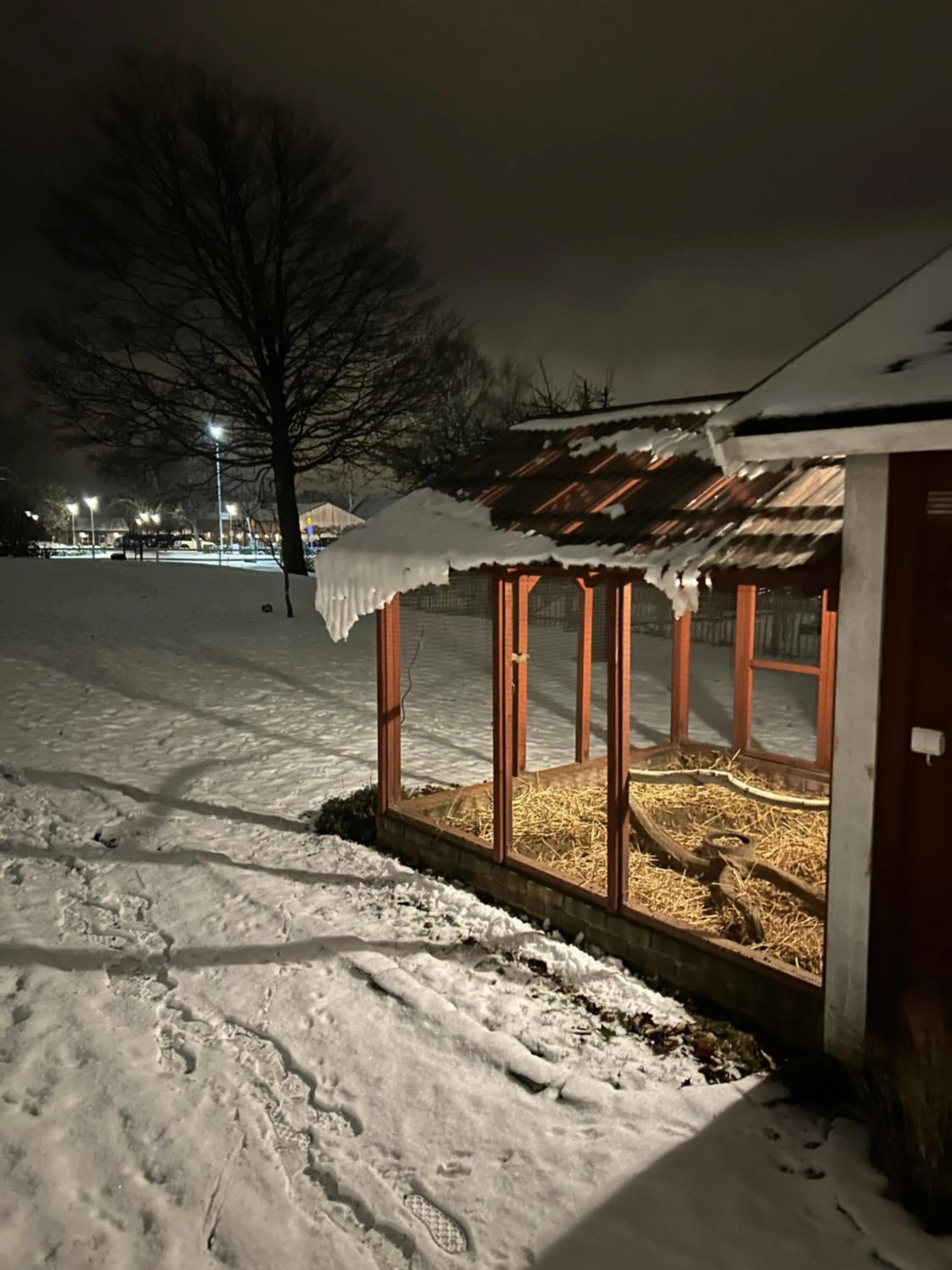 Winter in Halmstad Gårdshotell