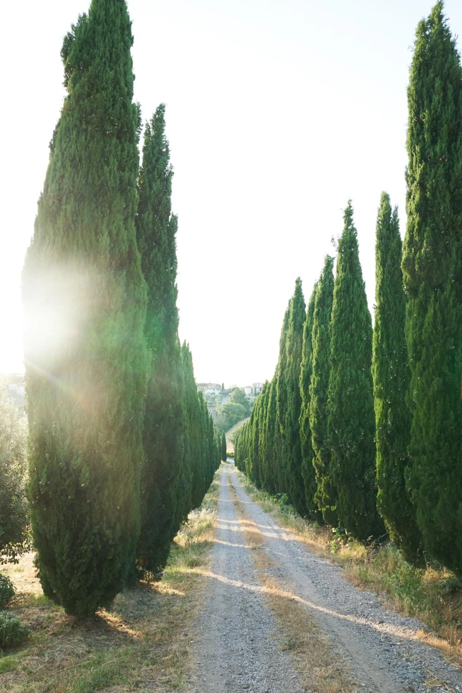 Garden in Borgo 69 Villas & Suites