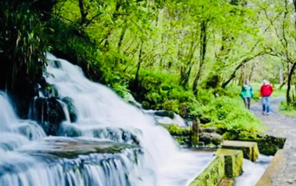 Nearby landmark in Arch House