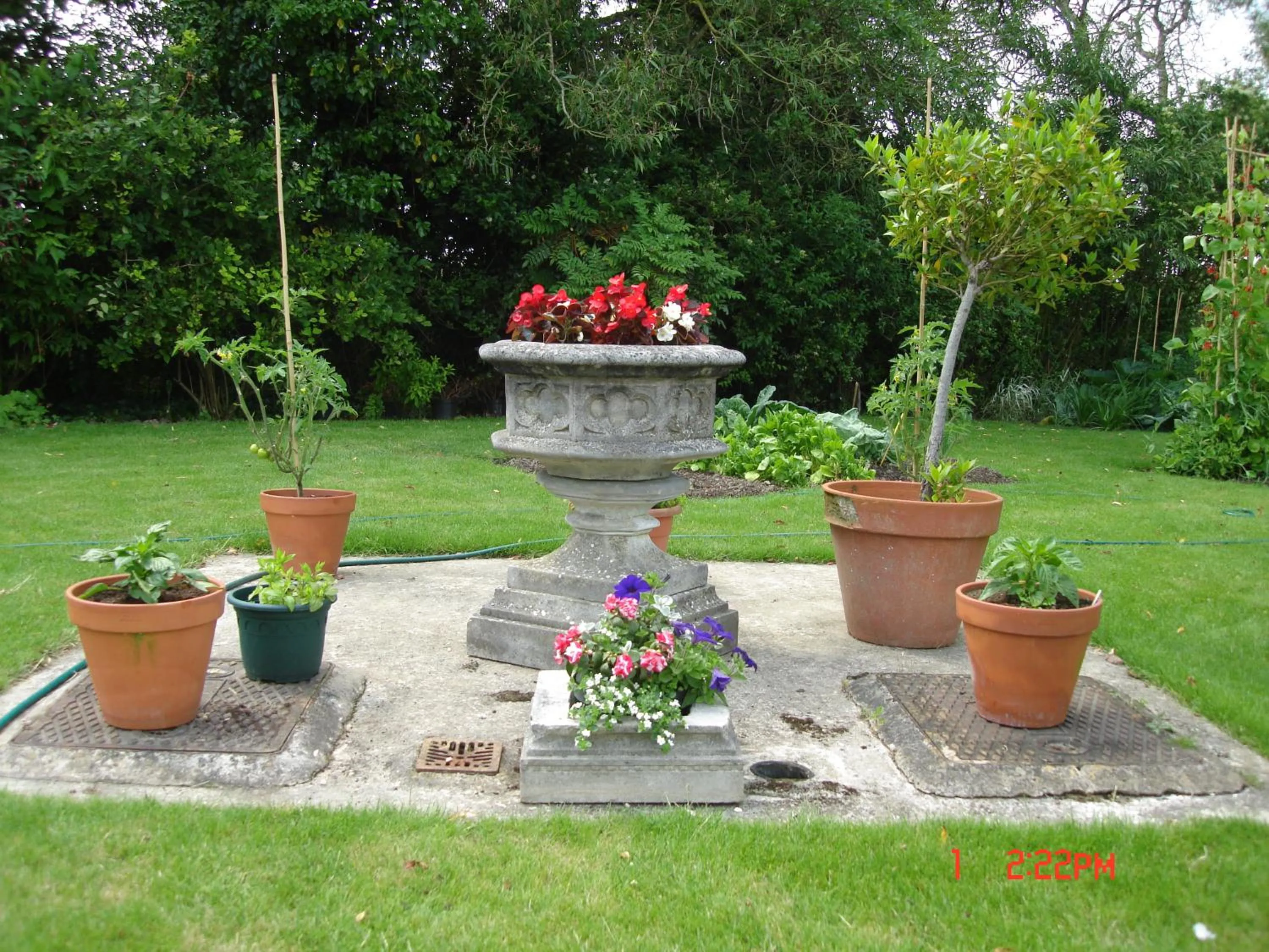 Garden view in Petercott