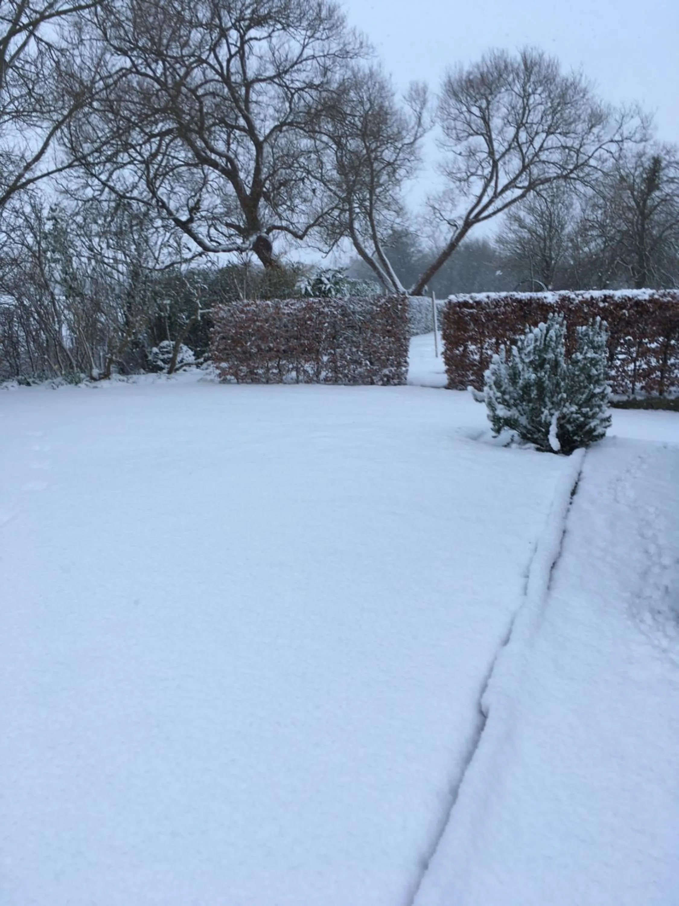 Property building in Petercott