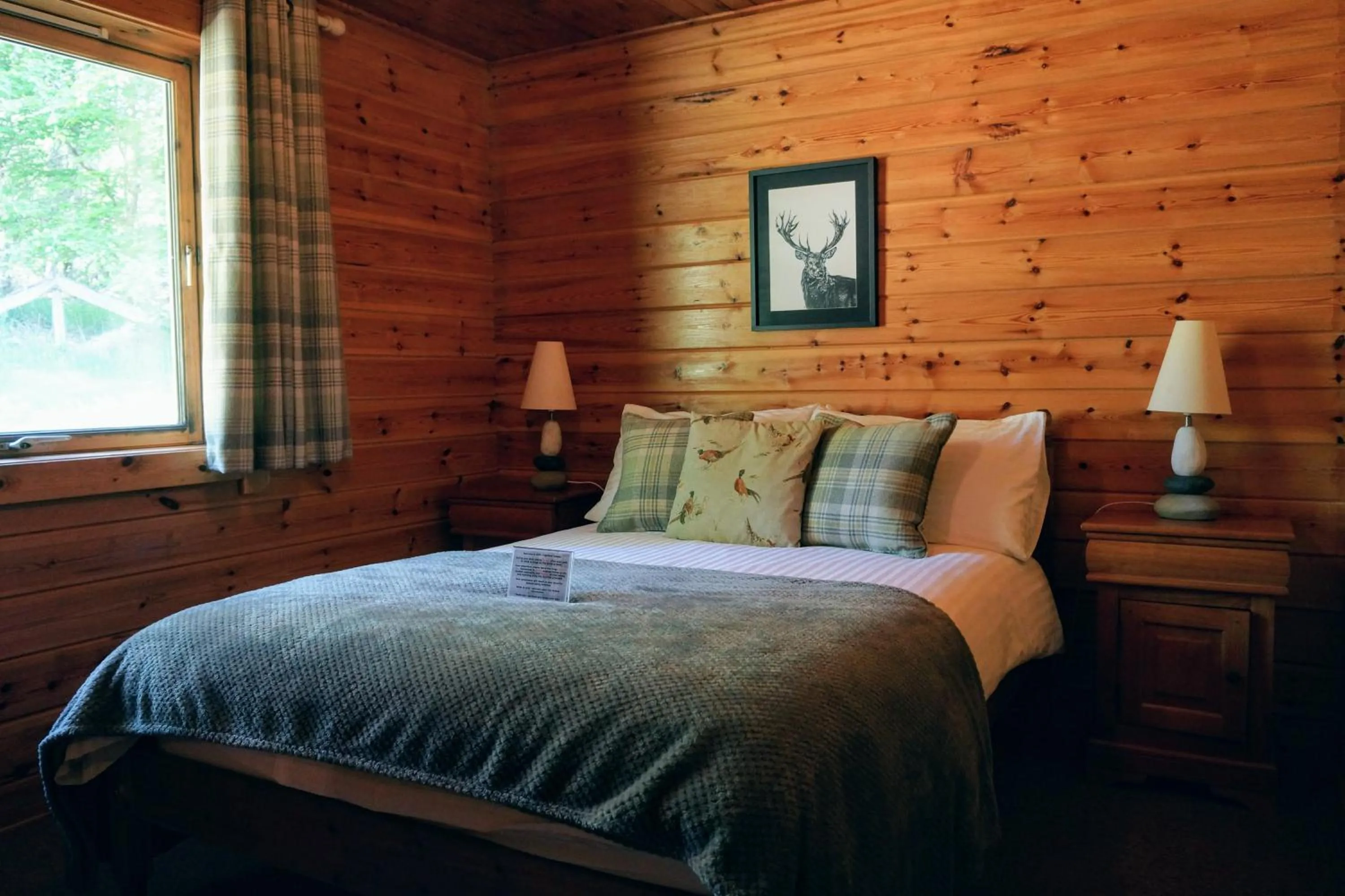 Cosy & compact Rowan Lodge no4