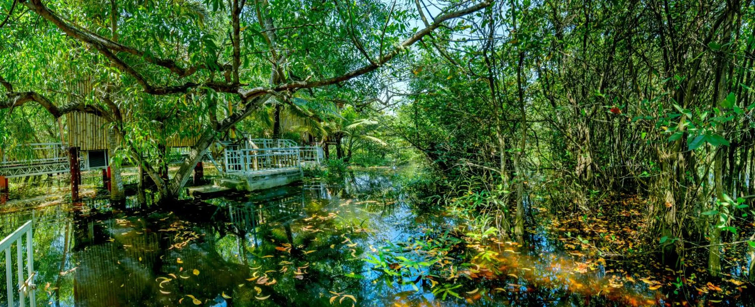 Other in GoGo Land Resort & Adventurous Sports