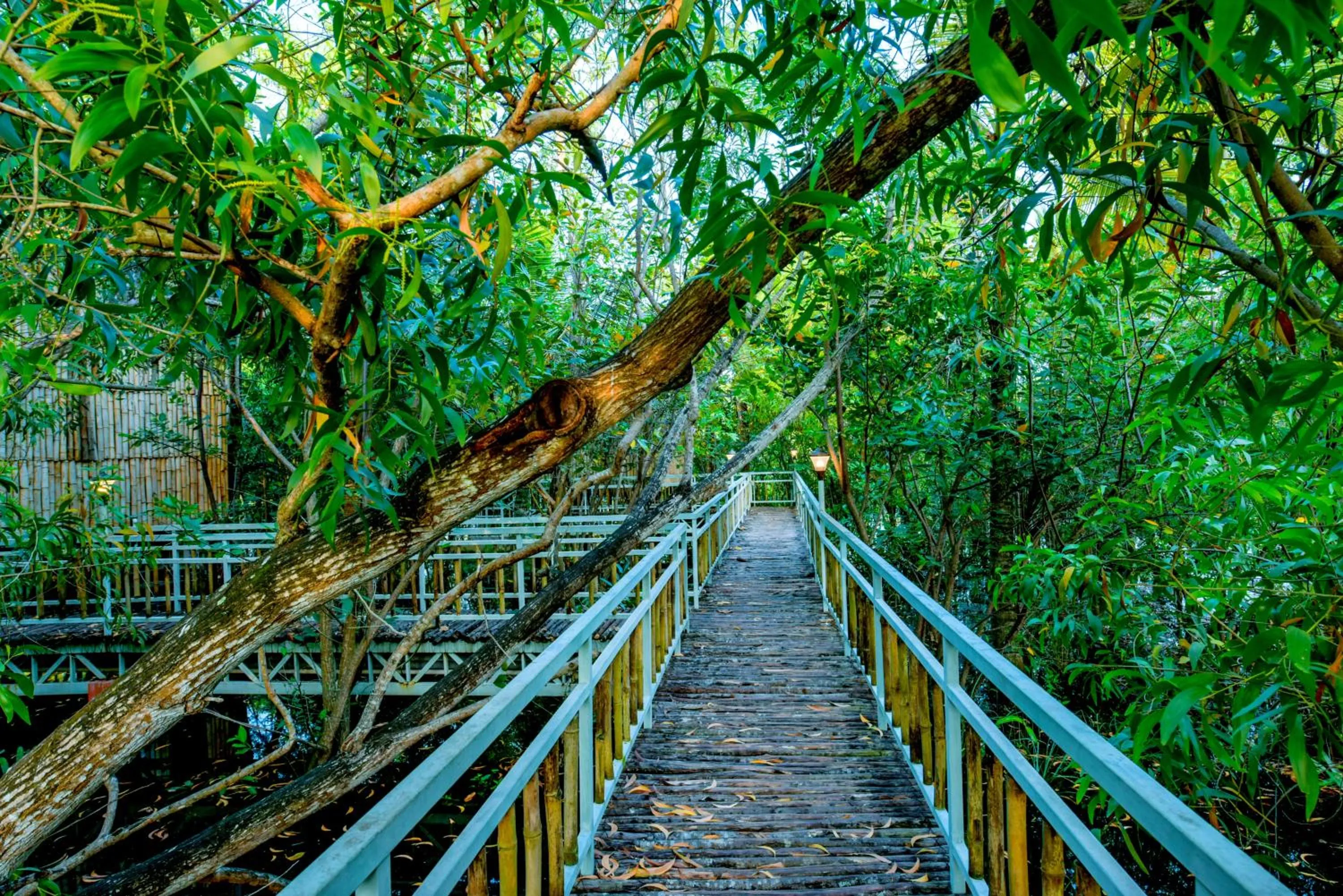 Other in GoGo Land Resort & Adventurous Sports