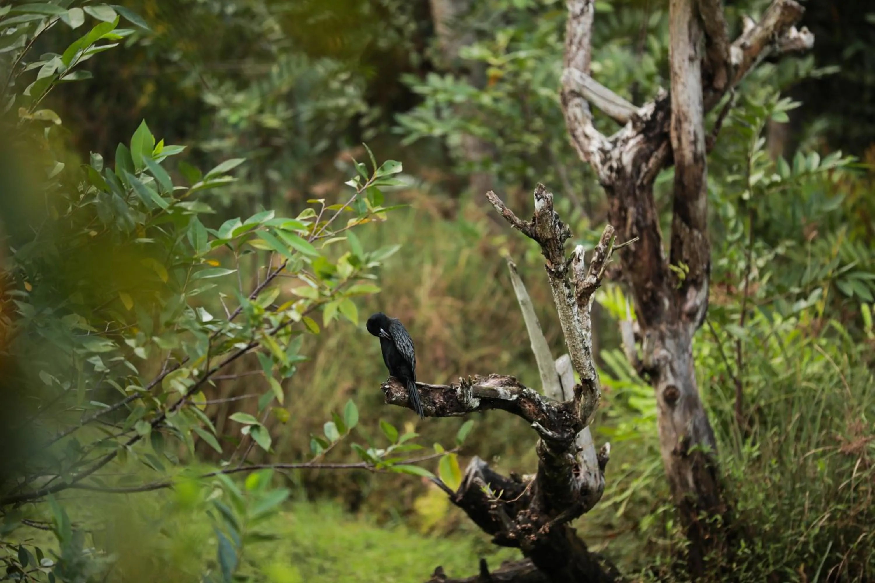 Property building in GoGo Land Resort & Adventurous Sports