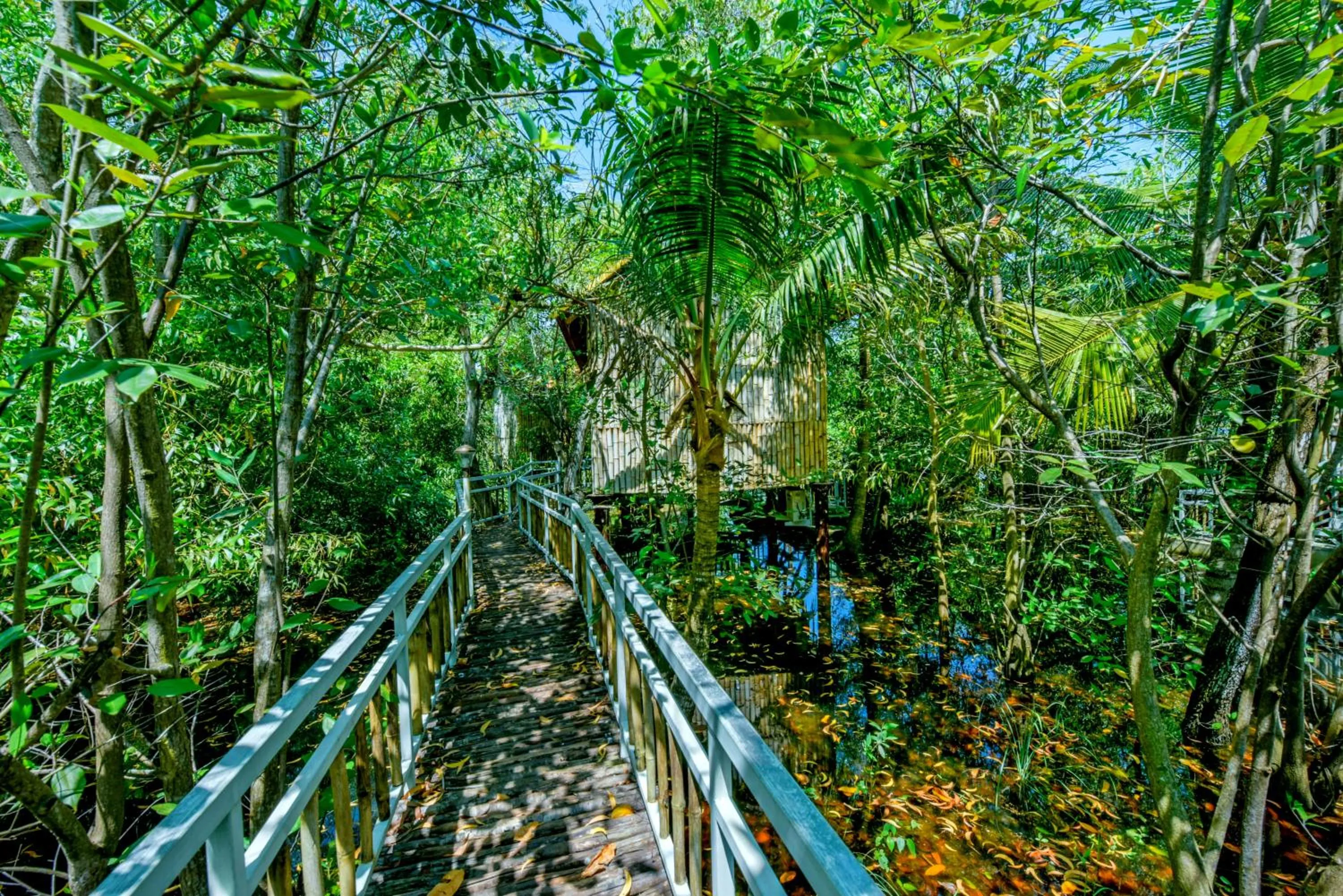 Other in GoGo Land Resort & Adventurous Sports