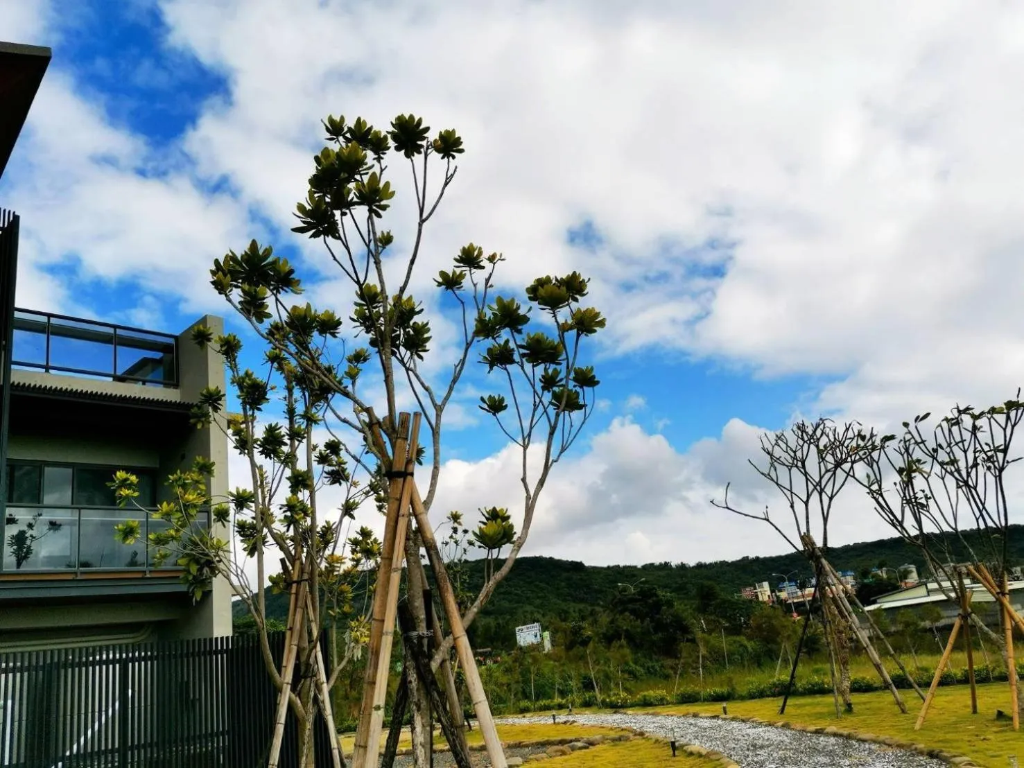Off site in Kenting Gala Vineyard