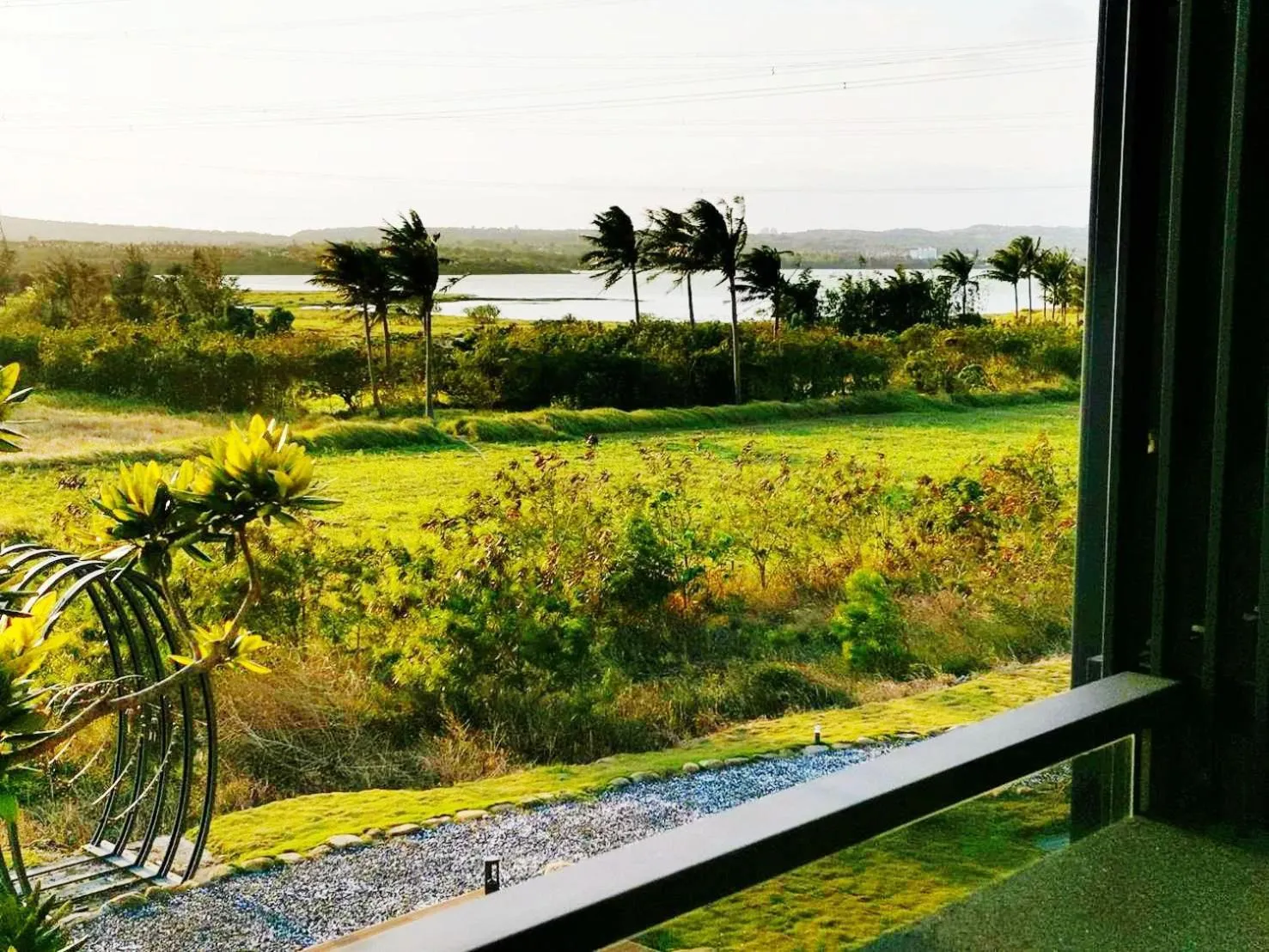 Off site in Kenting Gala Vineyard