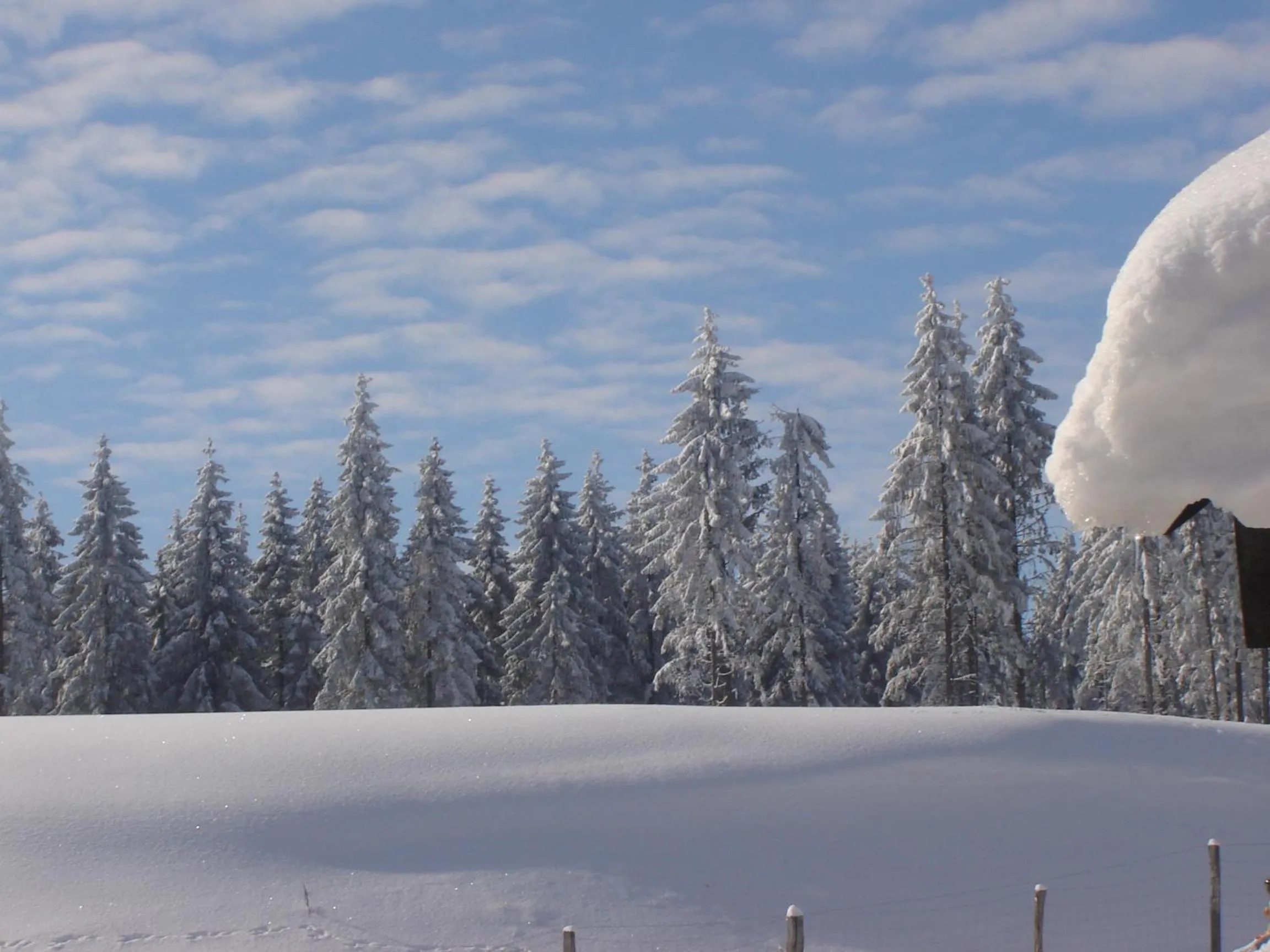Area and facilities in Hotel Winterberg Resort