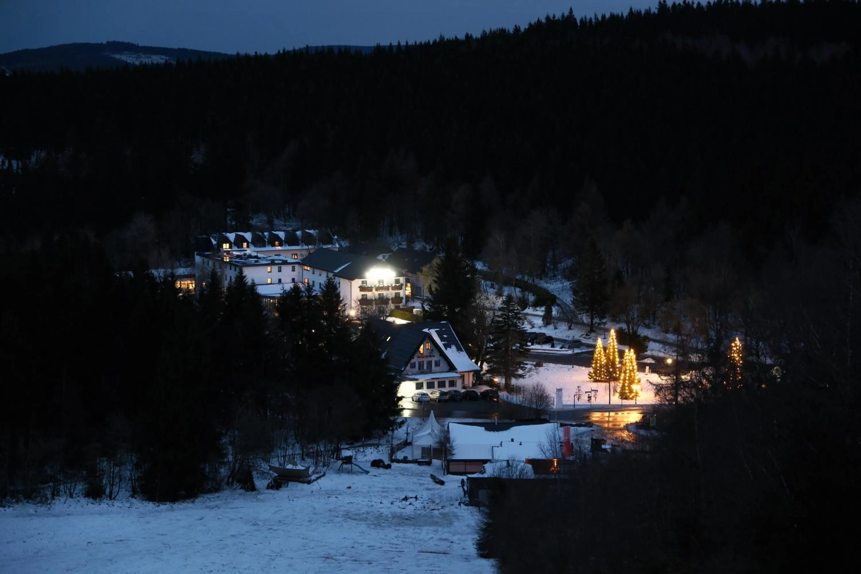 Night in Hotel Winterberg Resort