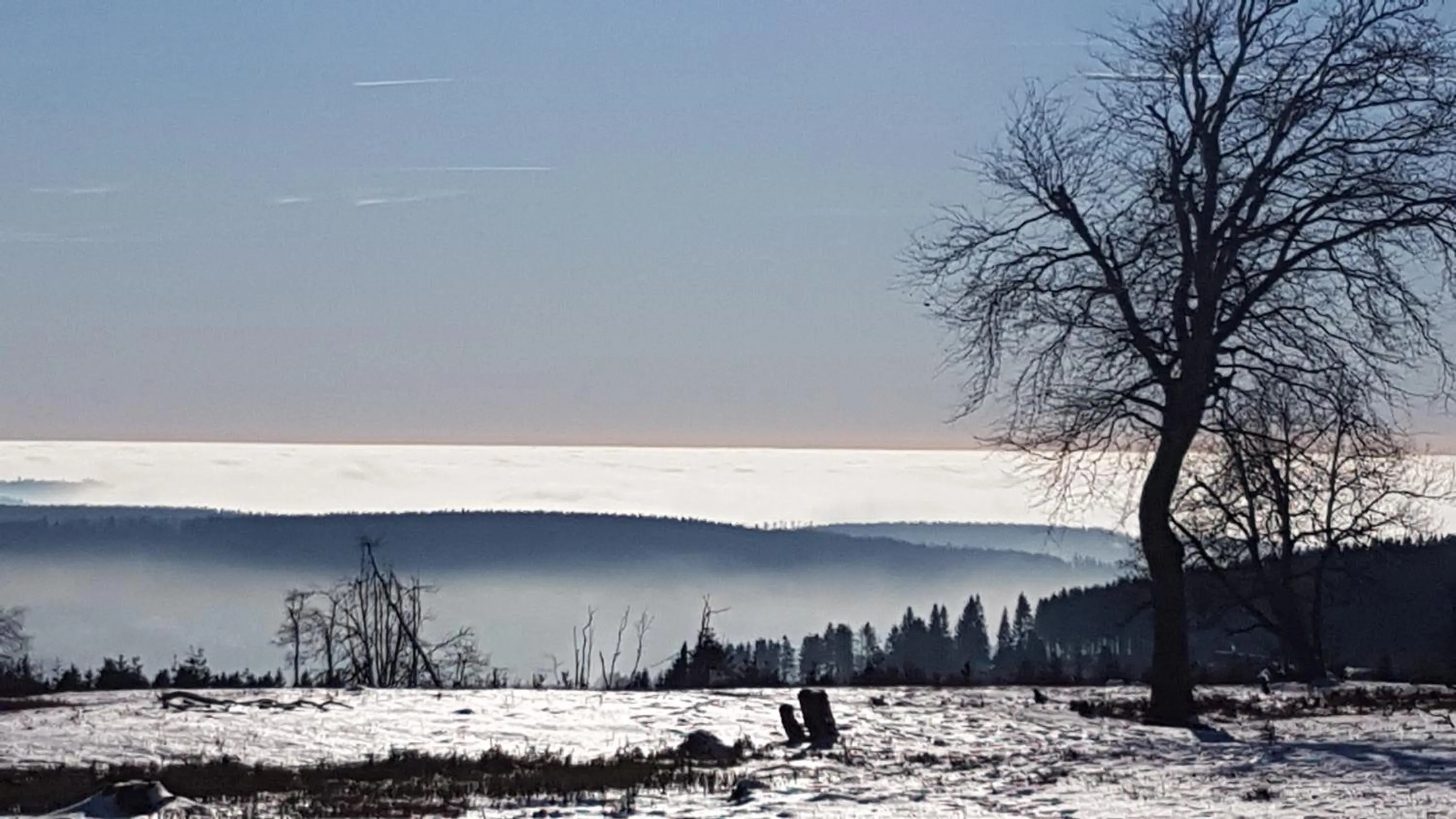 Natural landscape in Hotel Winterberg Resort