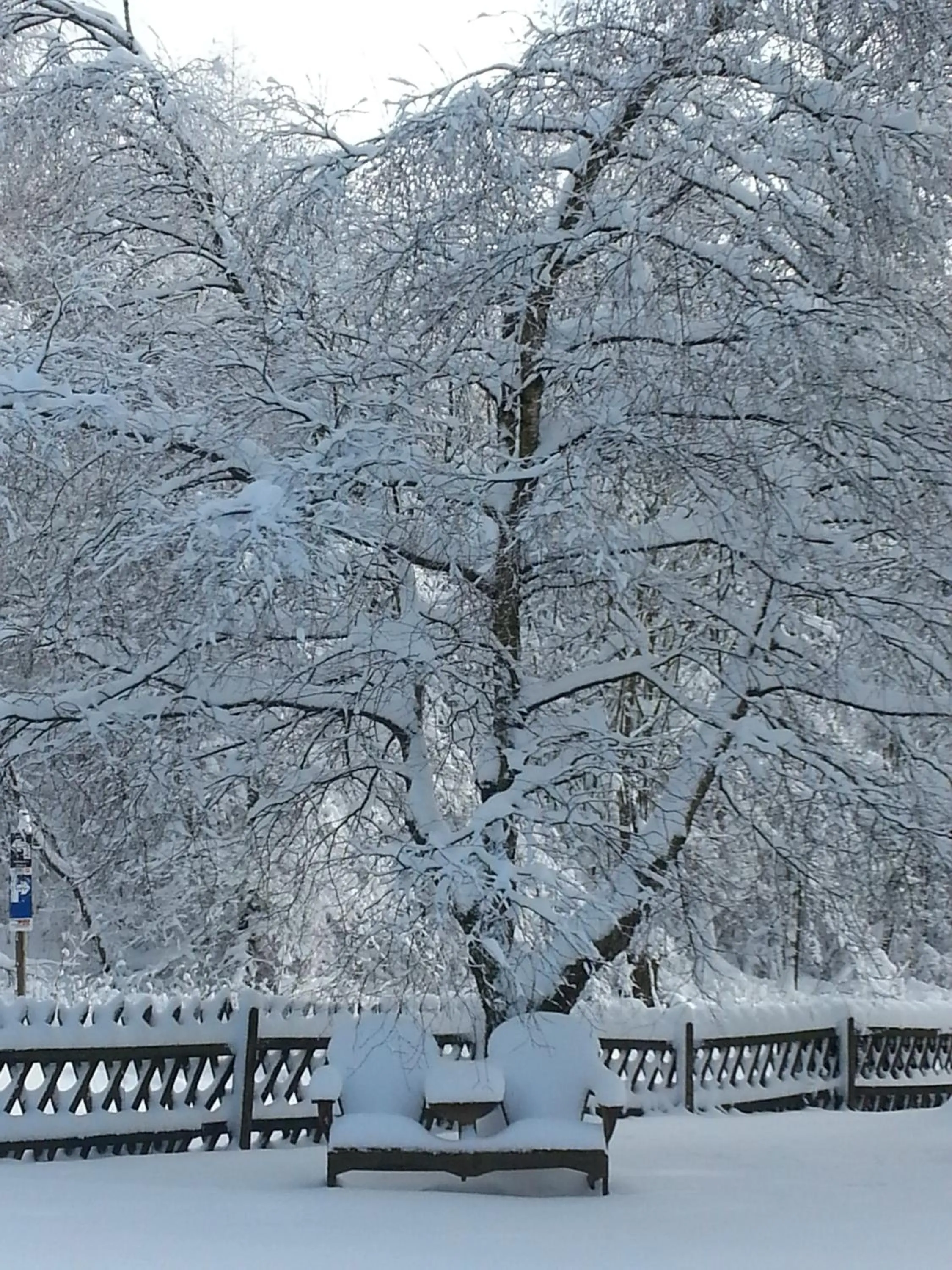 Area and facilities in Hotel Winterberg Resort