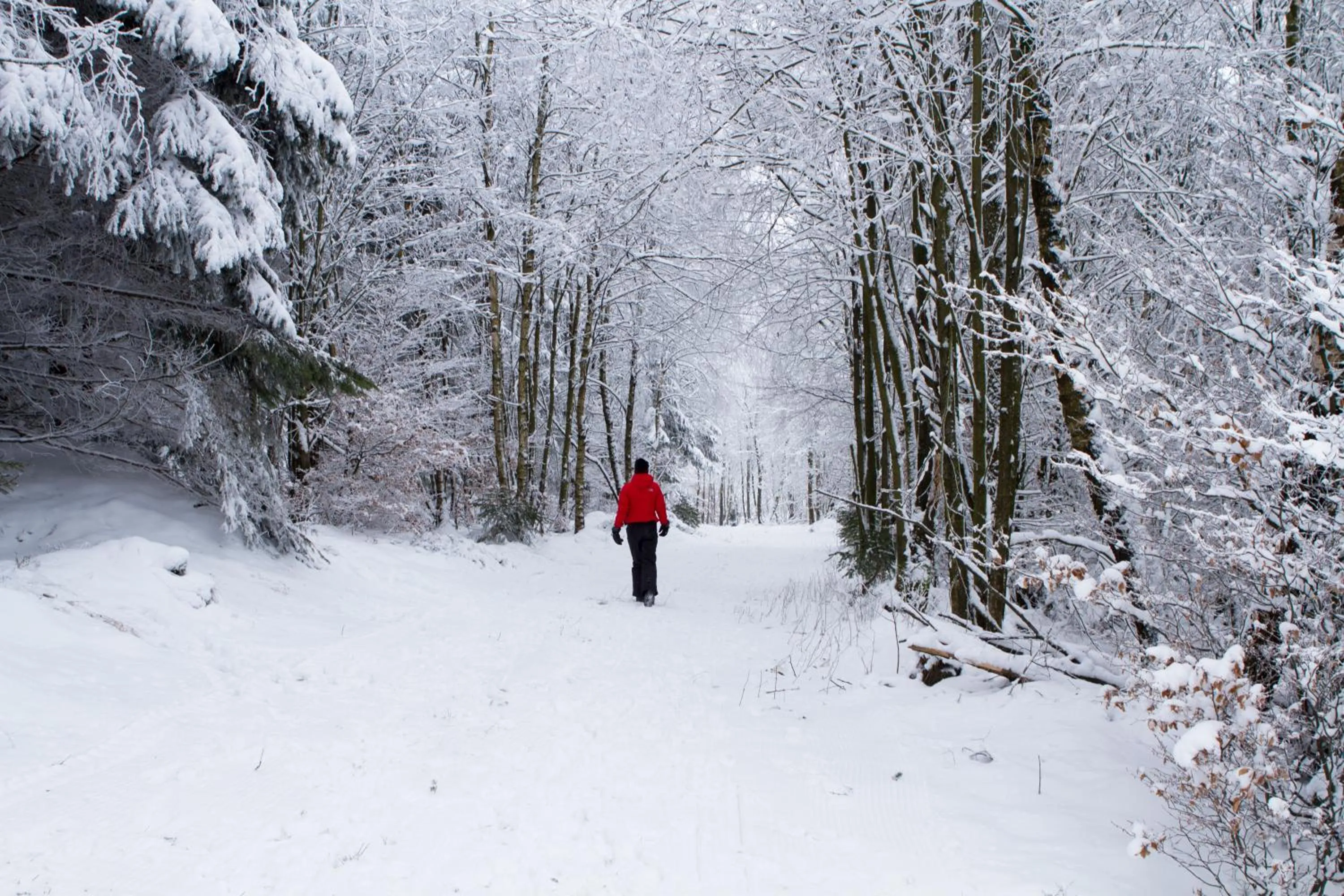 Other in Hotel Winterberg Resort
