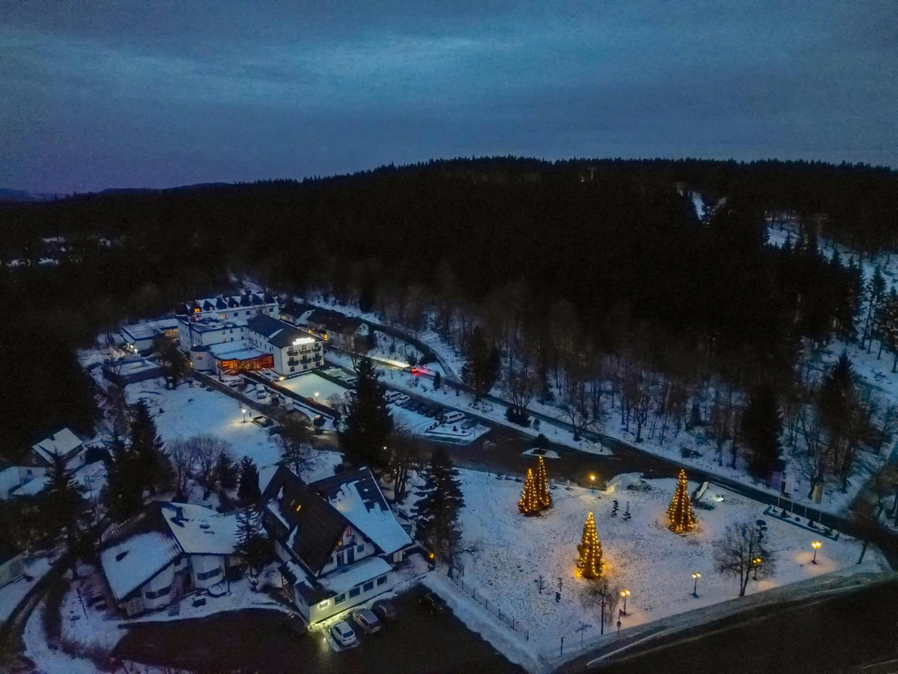 Night in Hotel Winterberg Resort